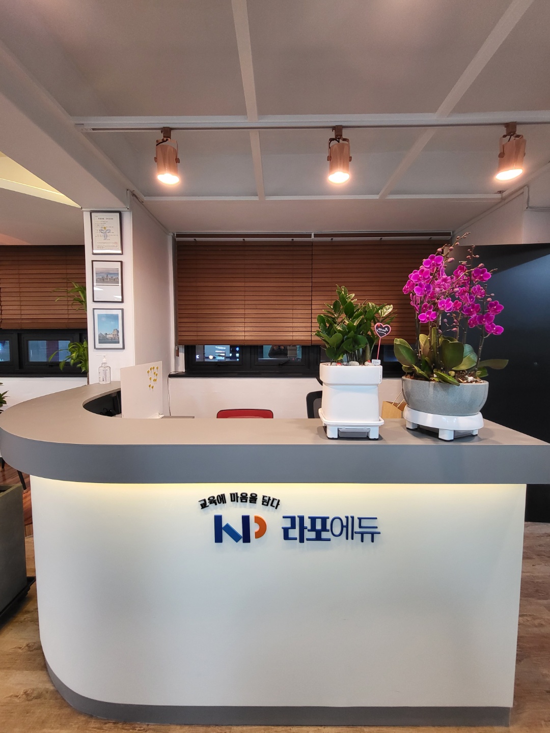라포에듀