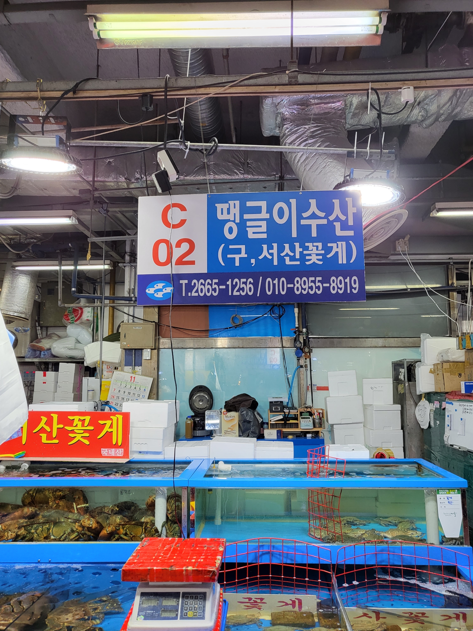 땡글이수산