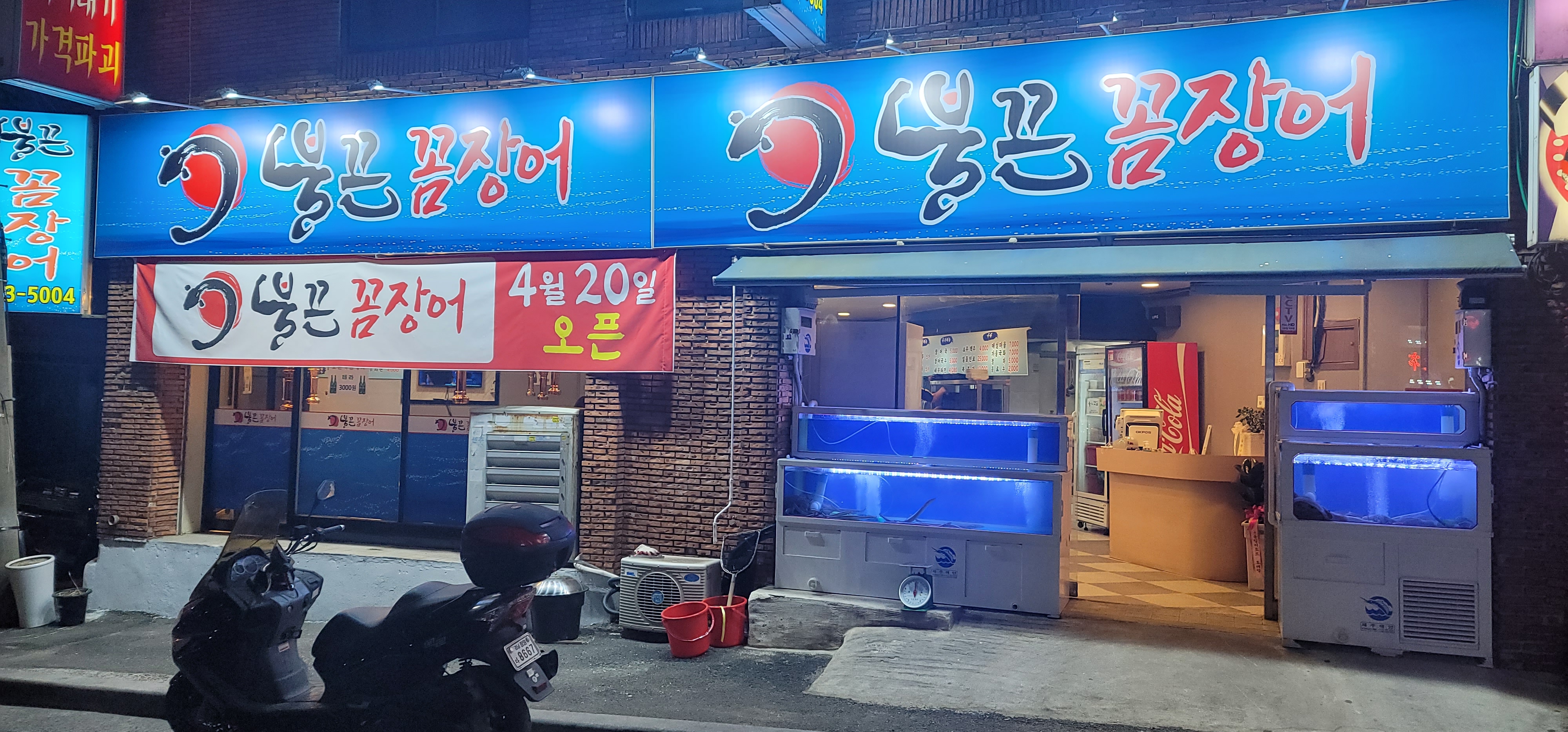 불끈꼼장어