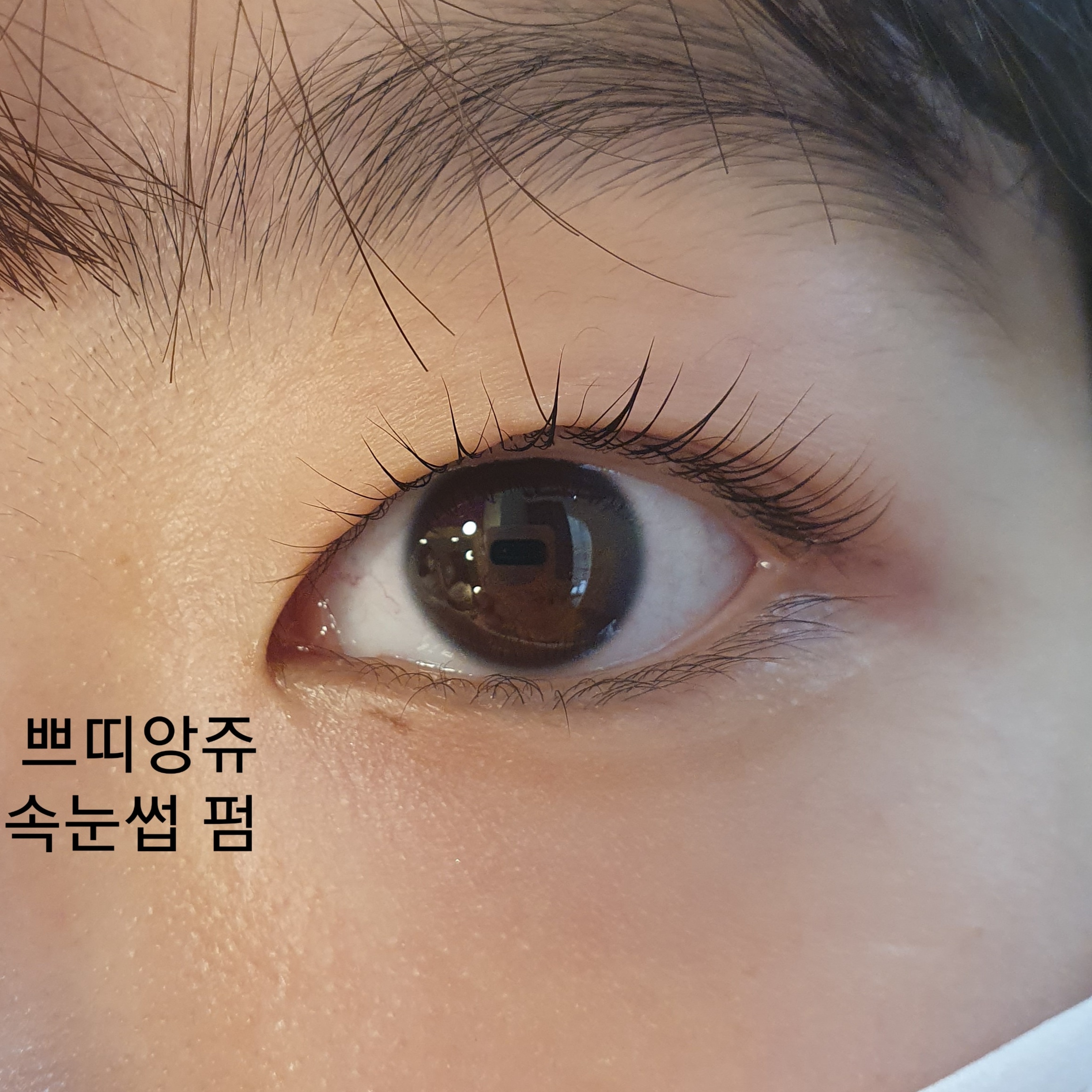 쁘띠앙쥬왁싱&속눈썹 photo 8
