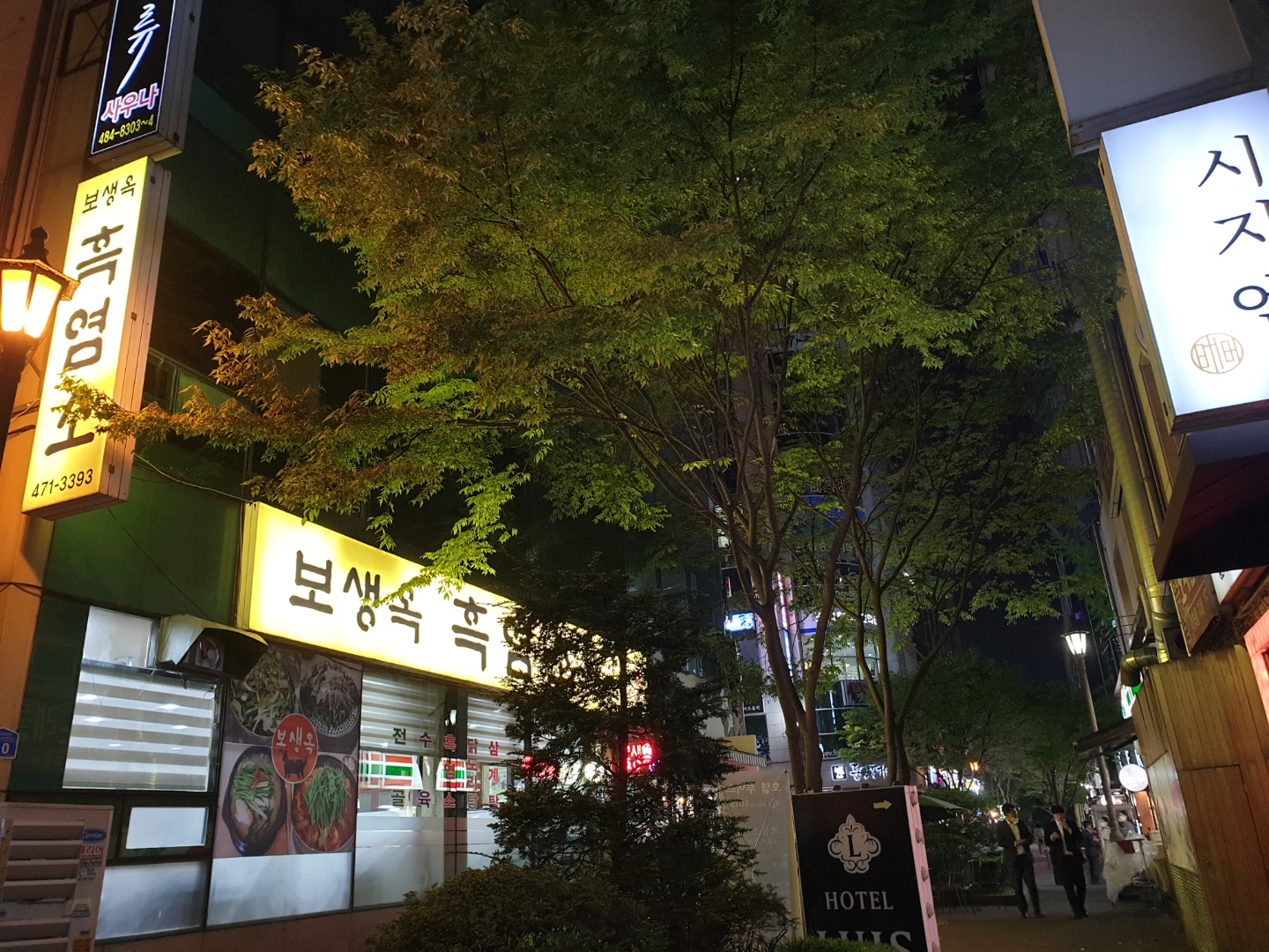 보생옥 흑염소