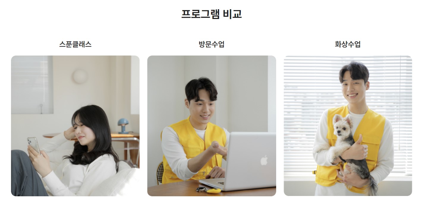 브리딩 강아지 훈련 대표 이미지