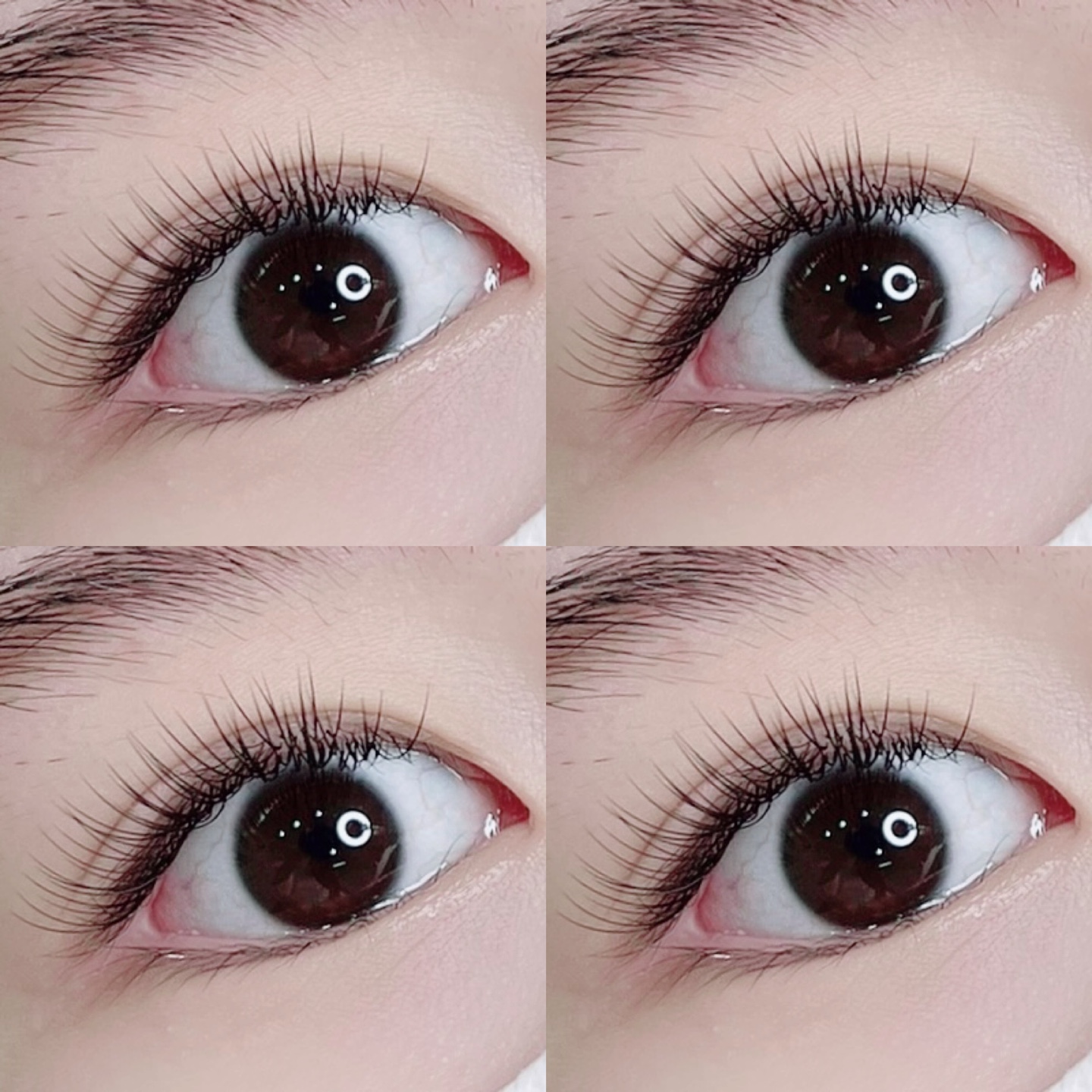 뷰티채움