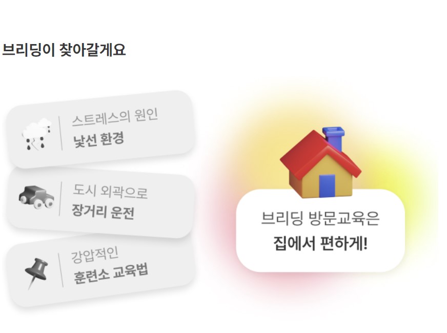 브리딩 강아지 훈련 대표 이미지