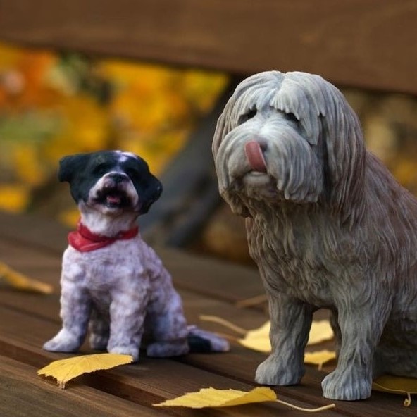 코쿤아우트 대표 이미지