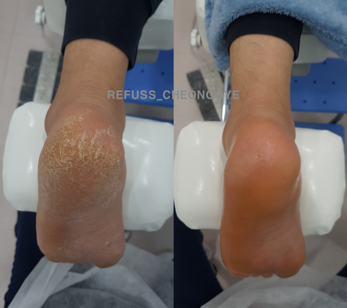 레푸스 청계천점 대표 이미지