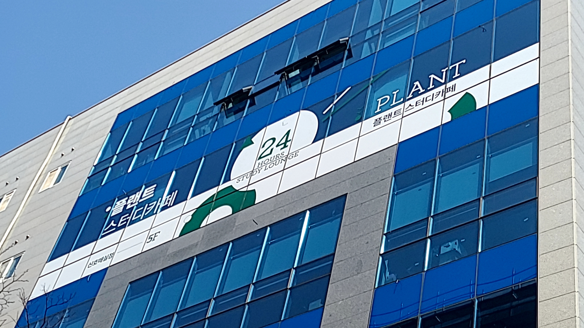 플랜트스터디카페 신호매실점 내부 또는 관련 모습
