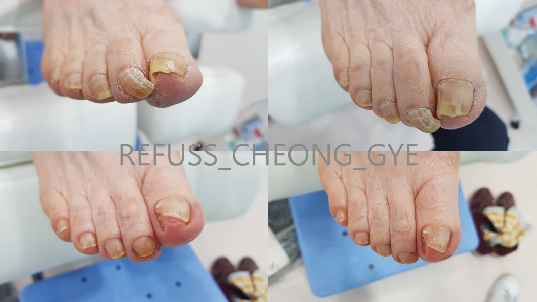 레푸스 청계천점 대표 이미지