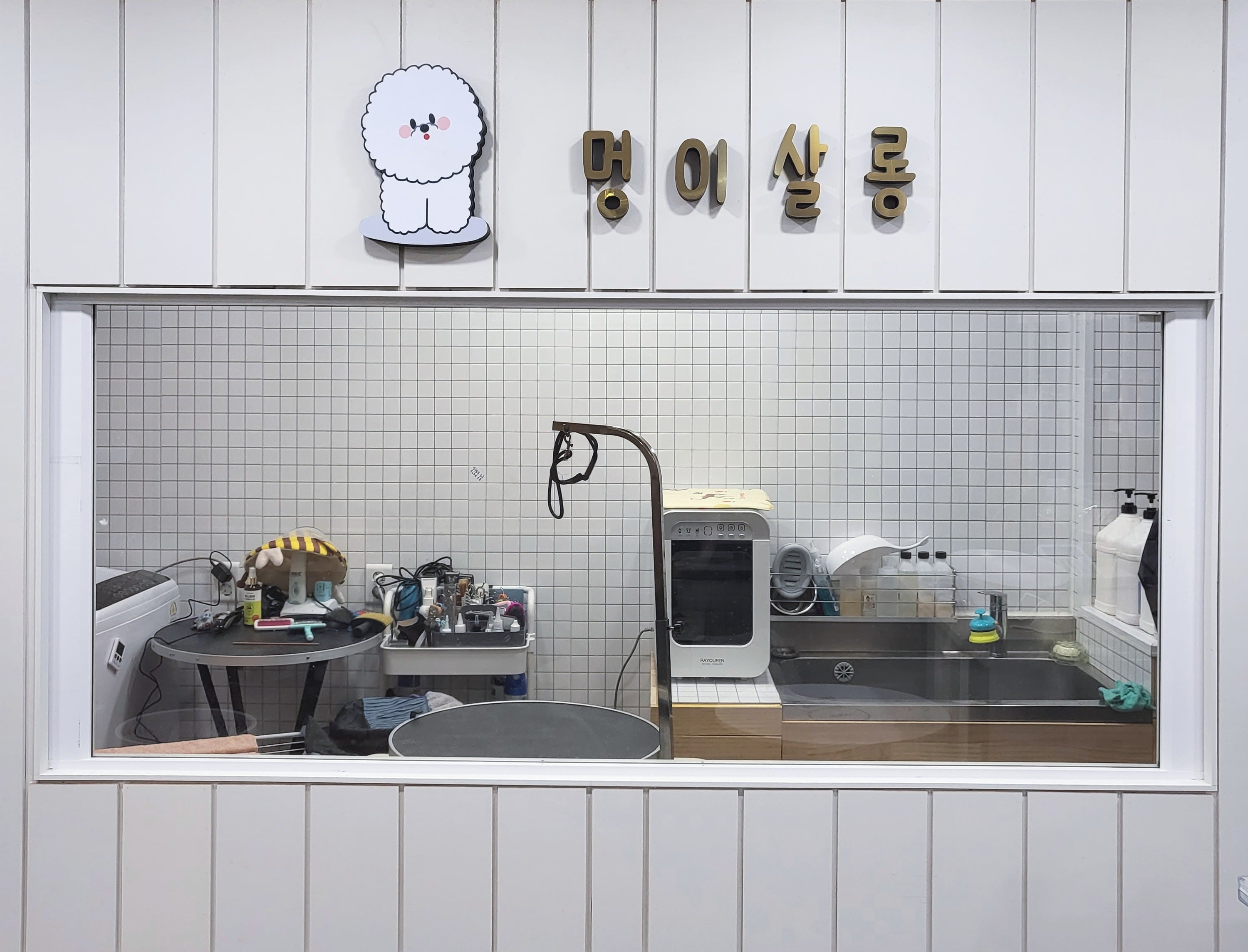 멍이냥이살롱&무마취 애묘미용 대표 이미지