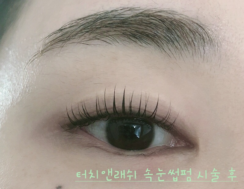 터치앤래쉬