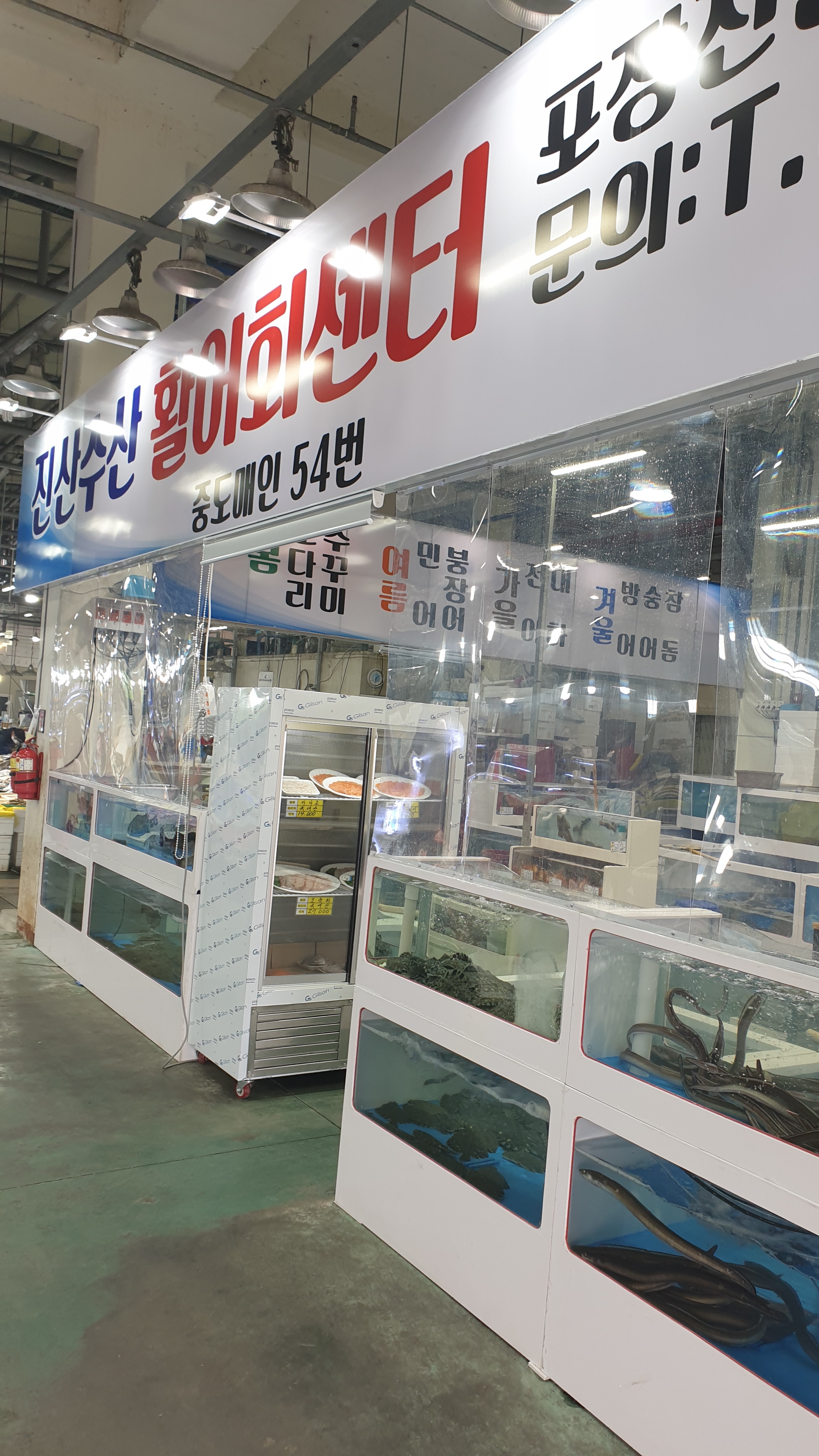 진산수산활어회센타