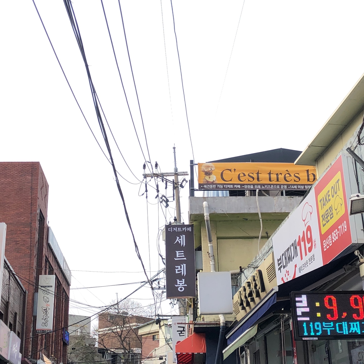 세트레봉
