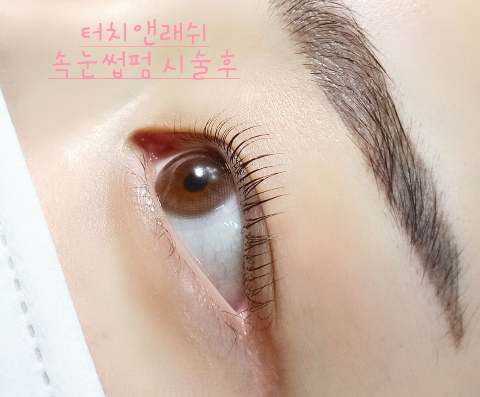 터치앤래쉬