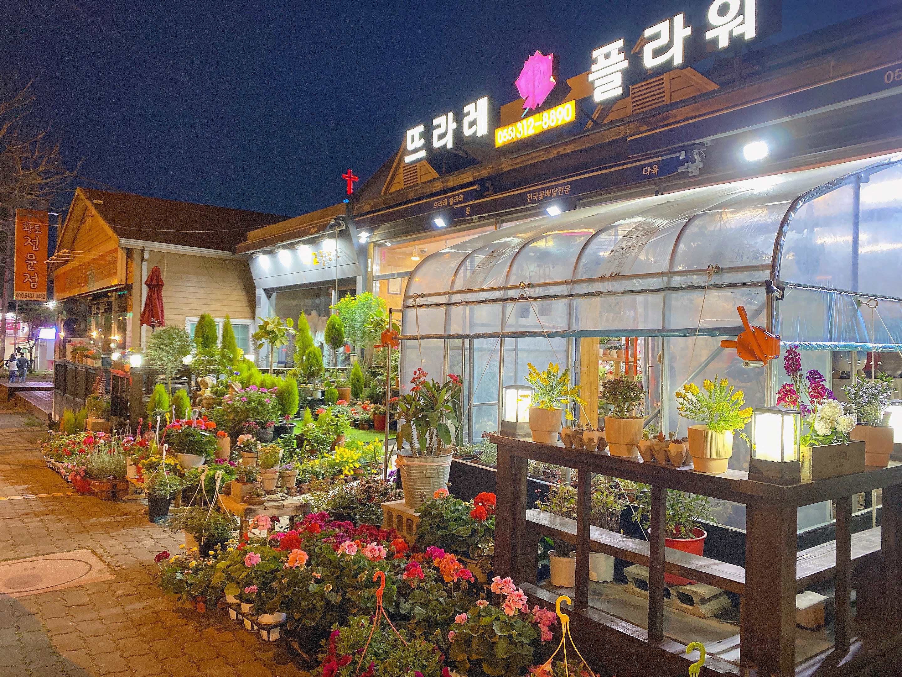뜨라레플라워