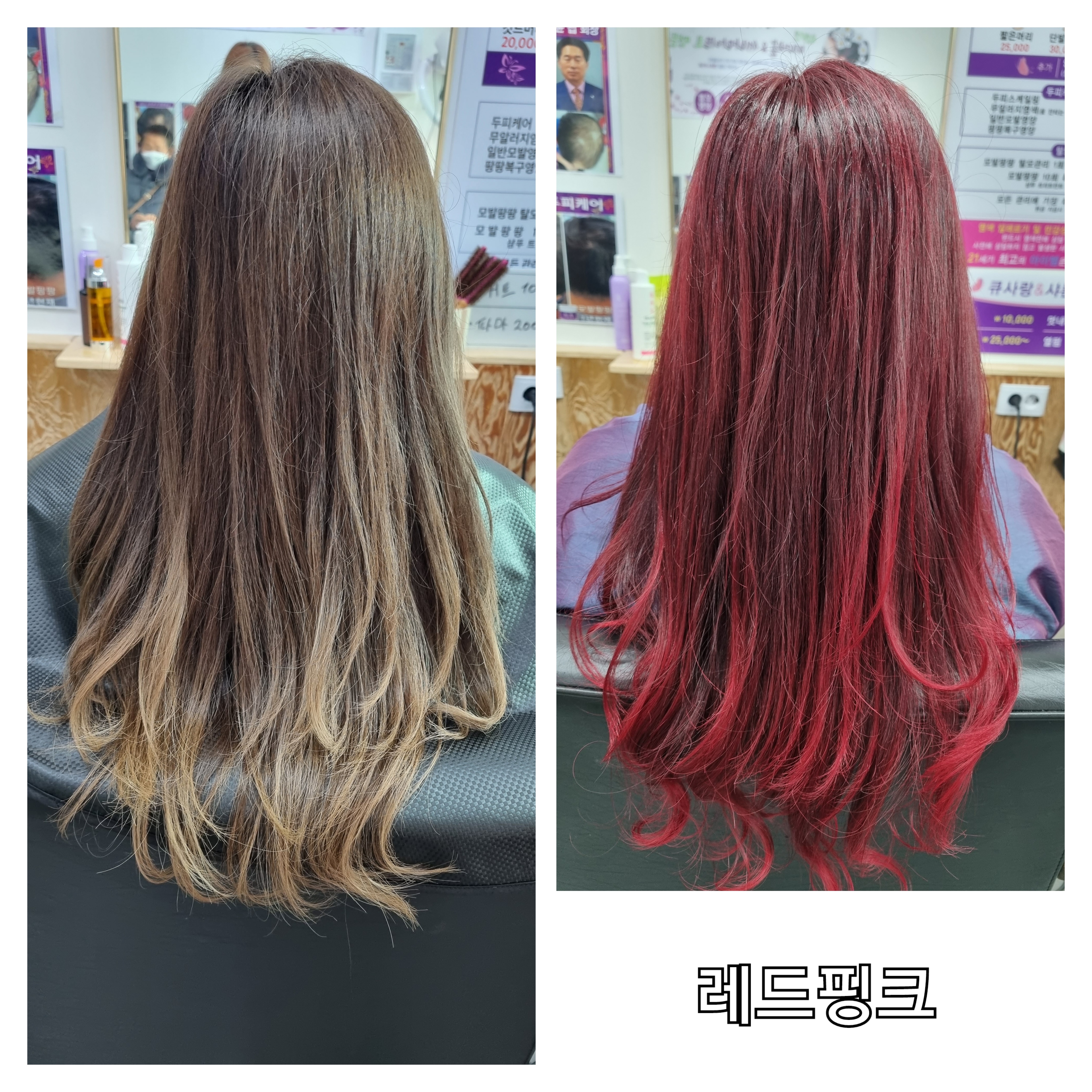 큐사랑&샤론헤어