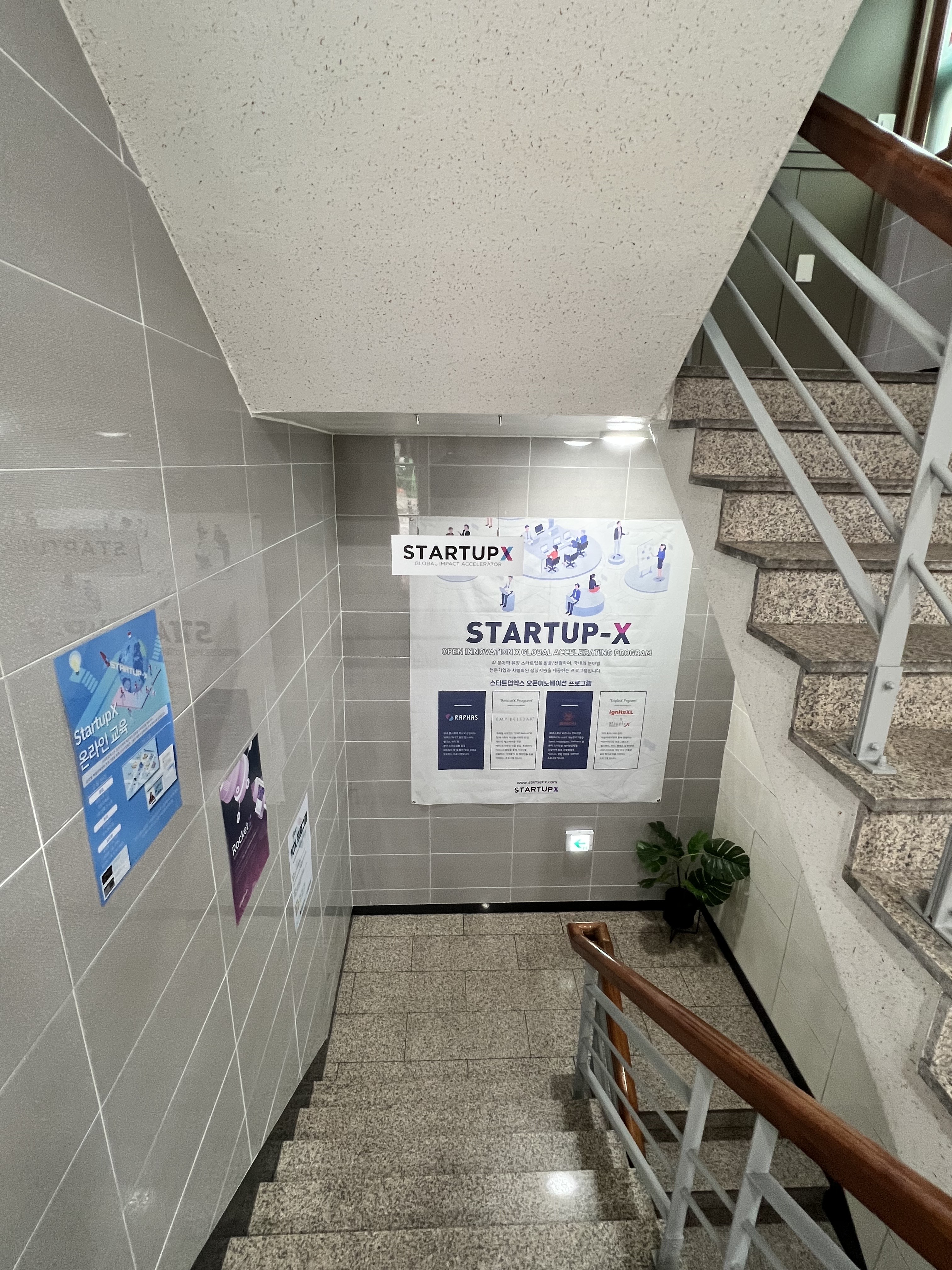 스타트업엑스 유한책임회사