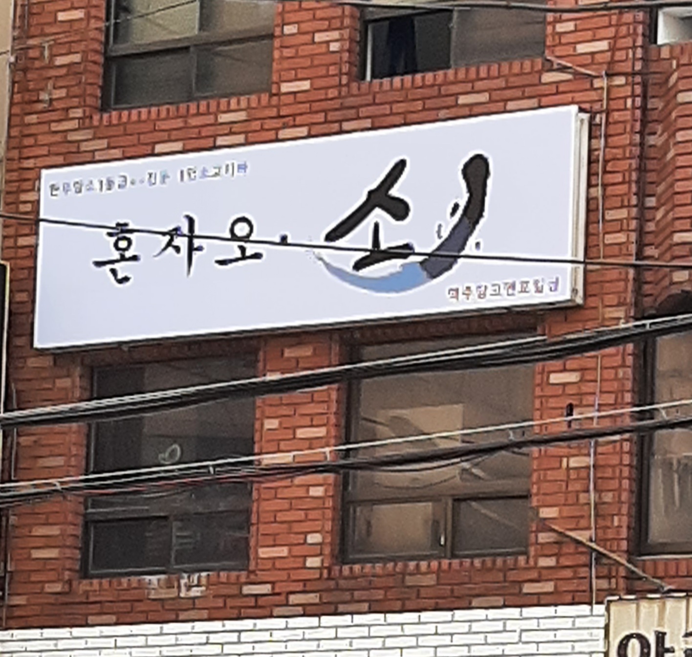 혼자오소