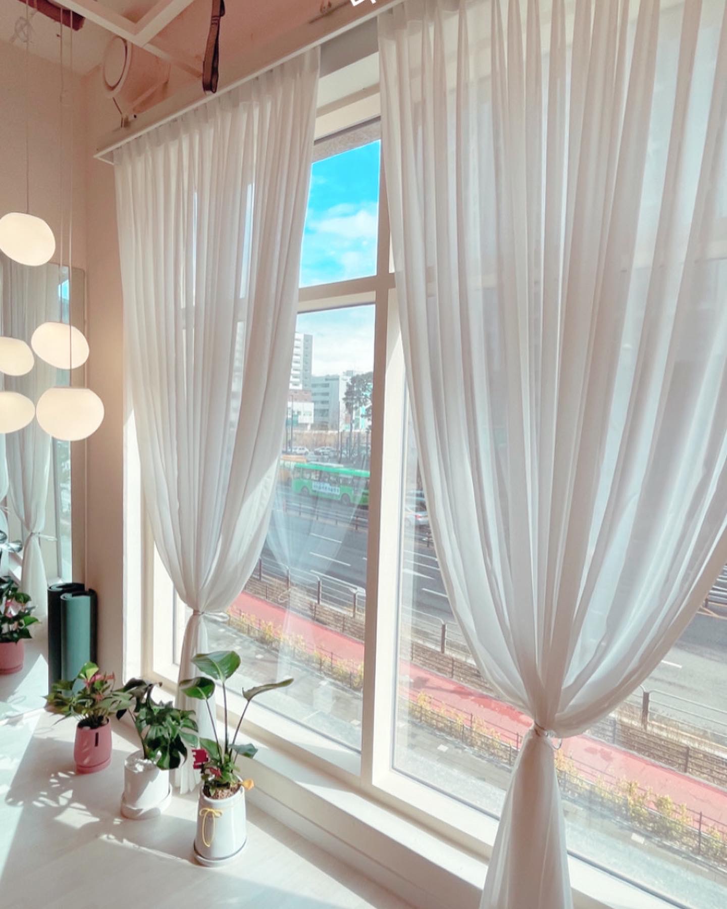 버드플라잉요가 대표 이미지