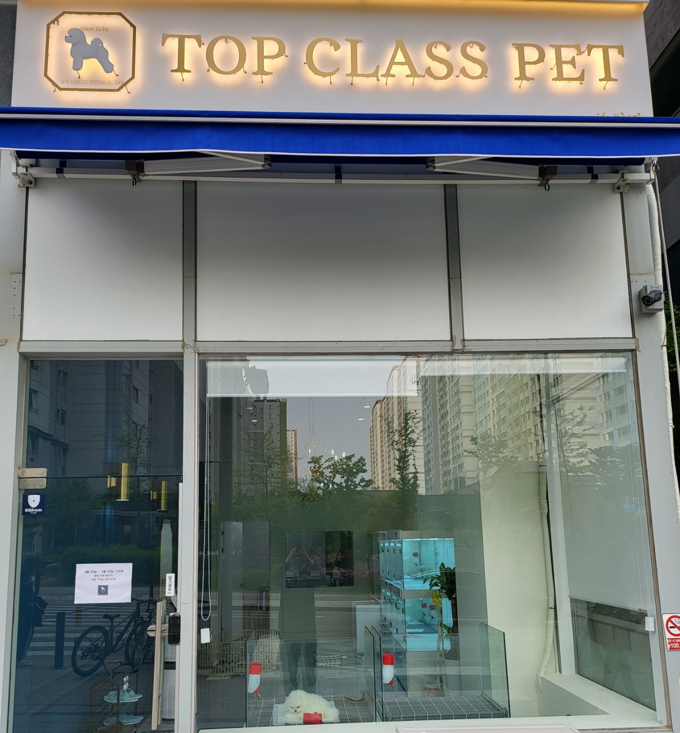 탑클래스펫 부천점