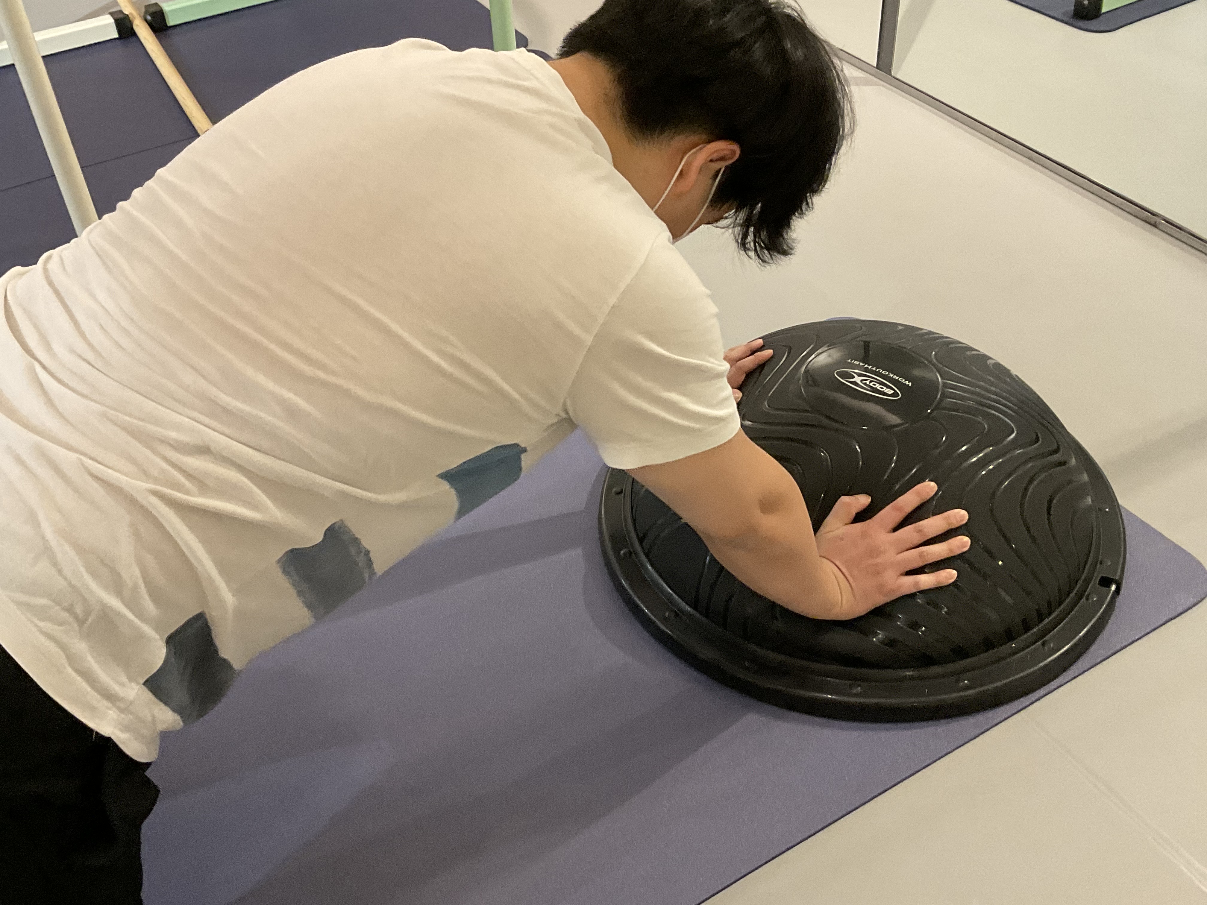 잔치인포레스트