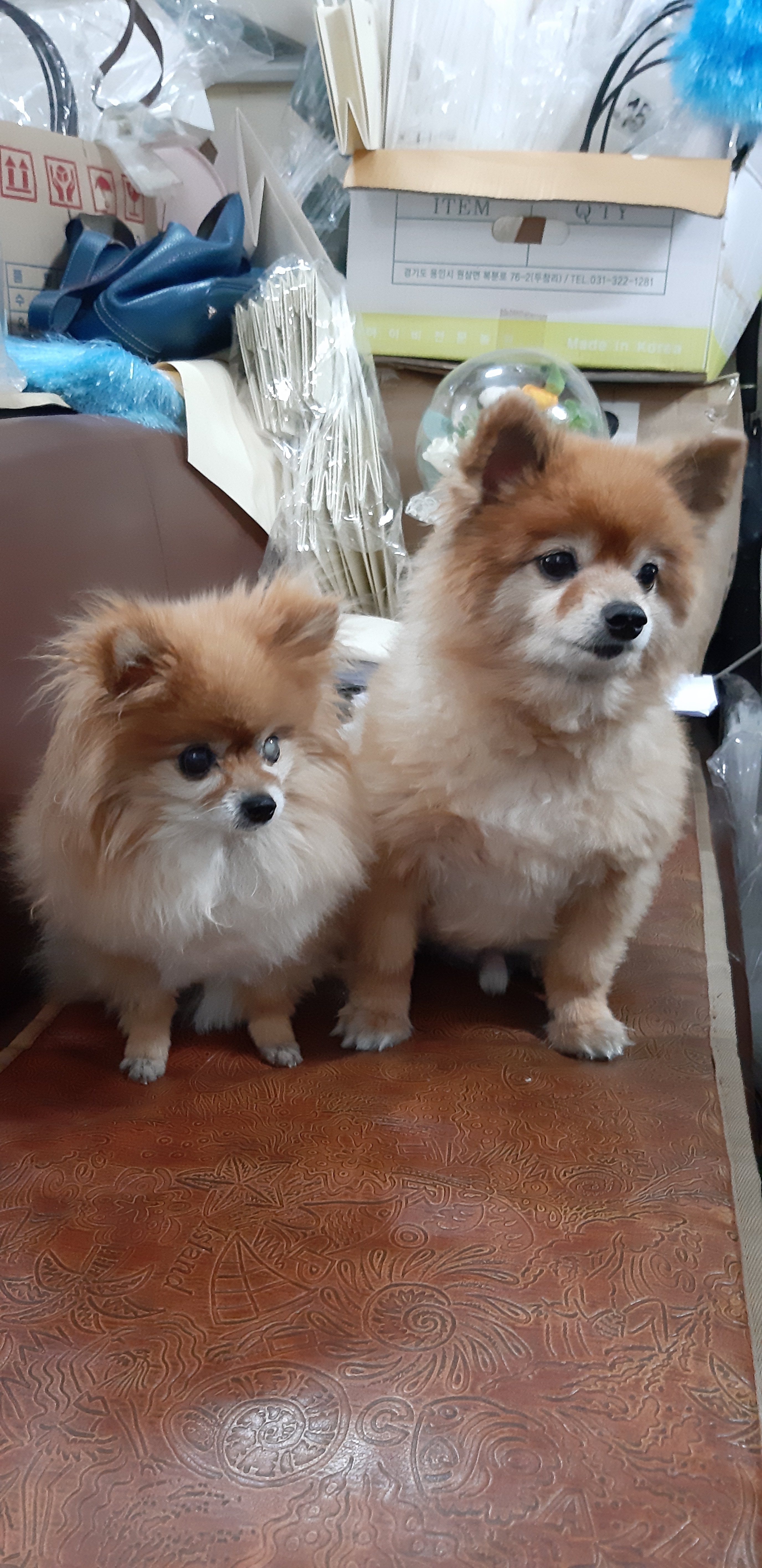 임마누엘화원