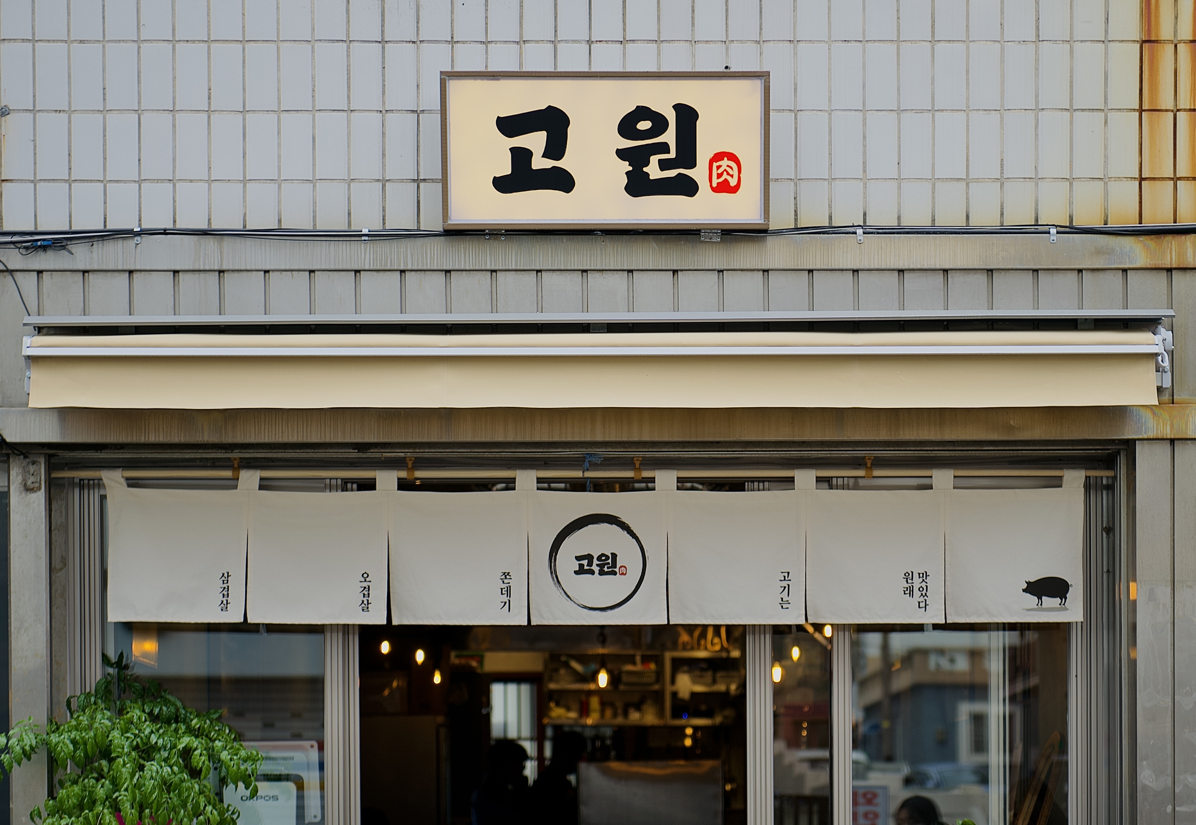 고원