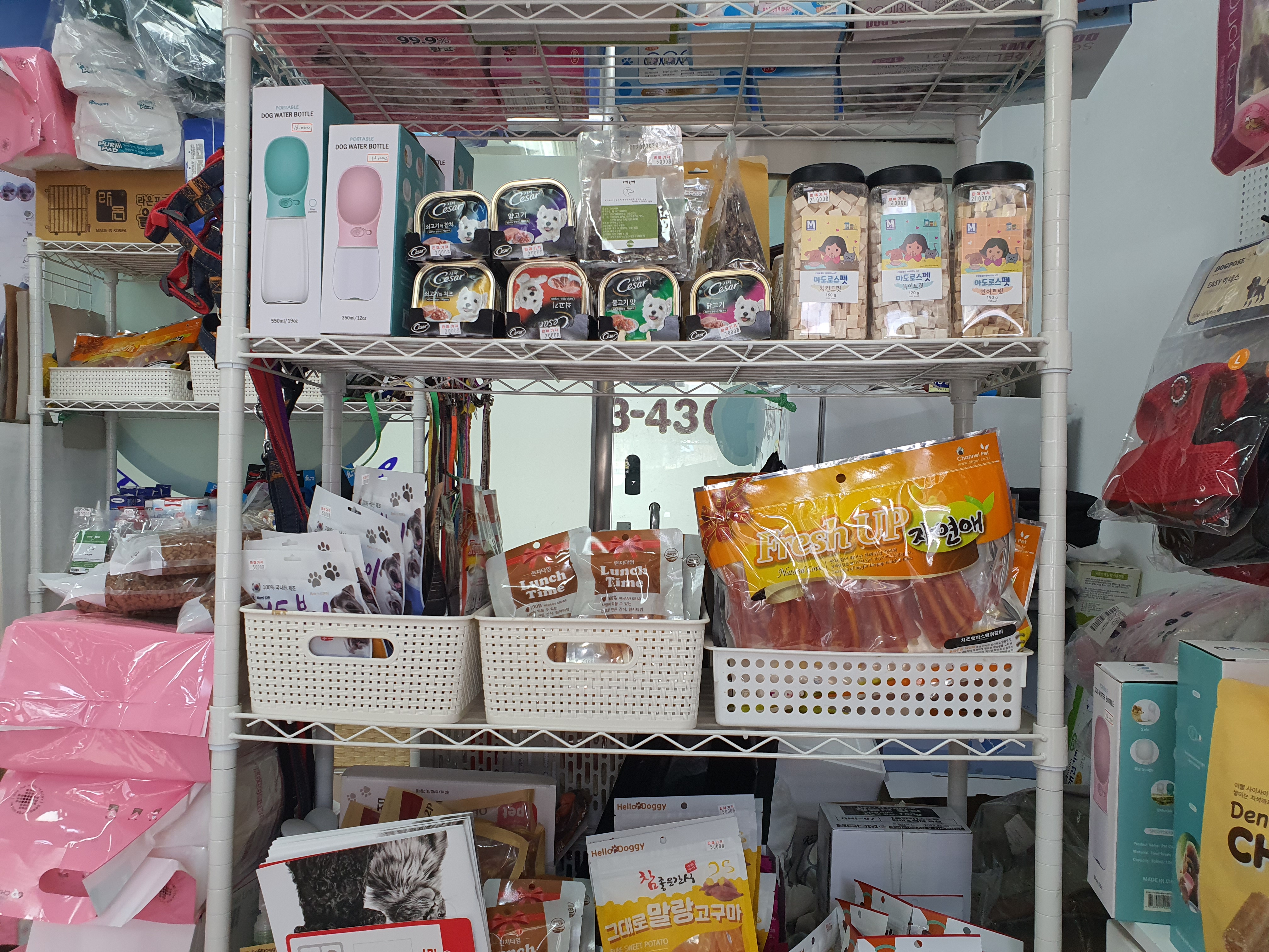 개편한집 대표 이미지