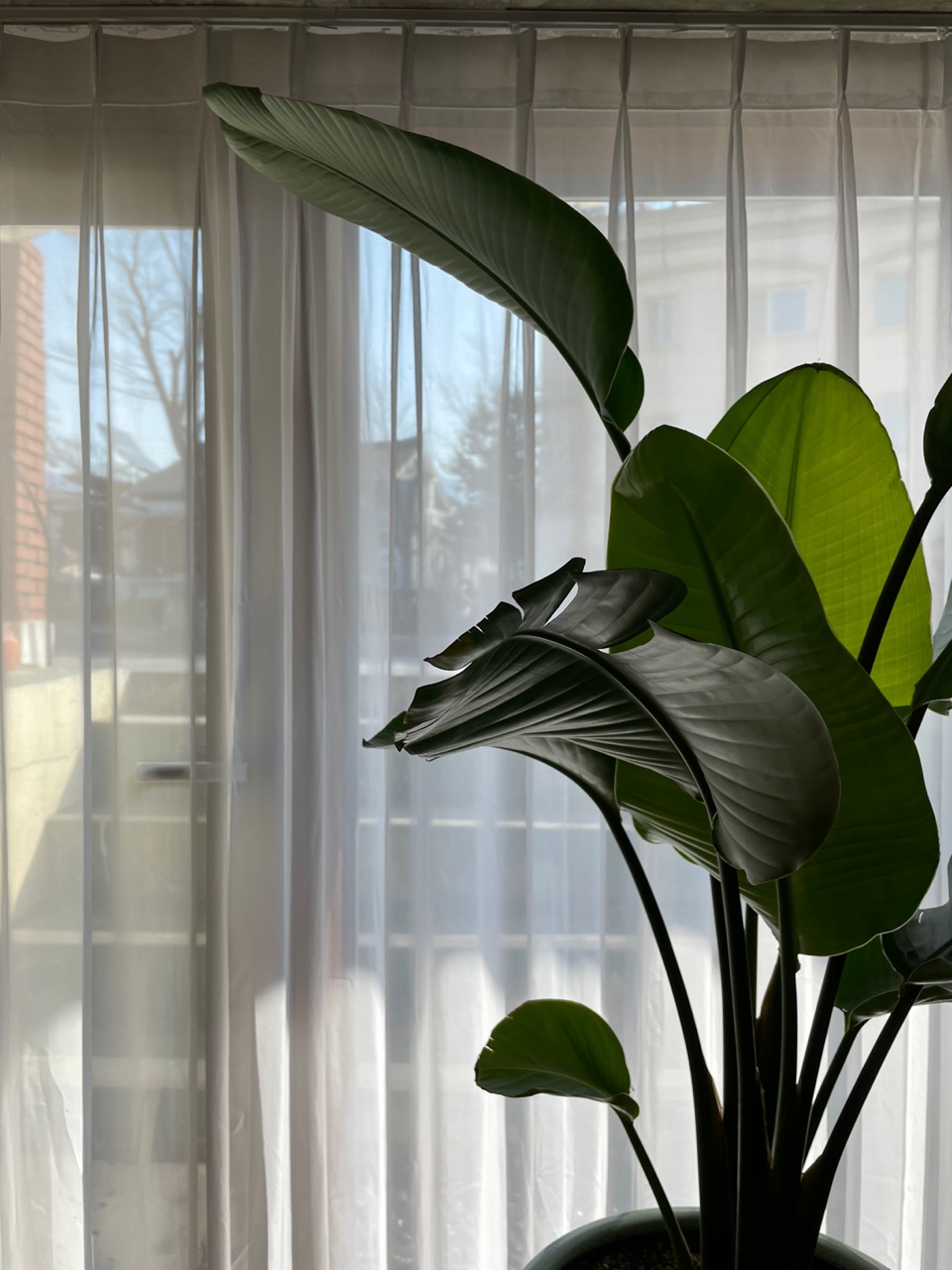 샵423 photo 10