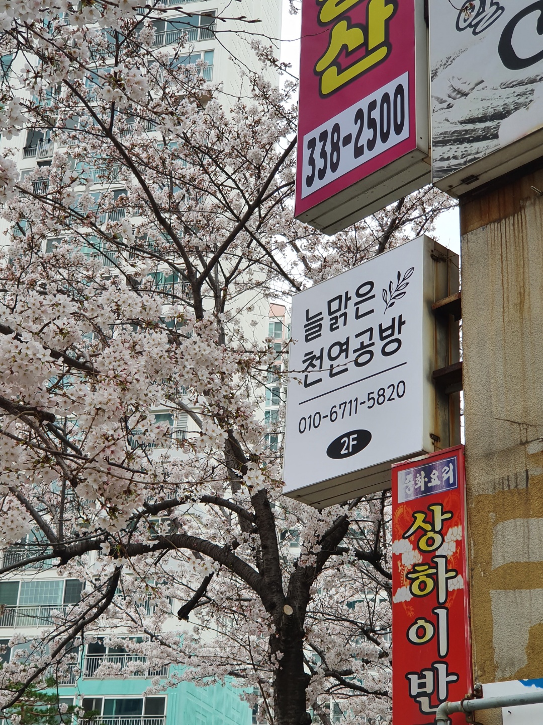 늘맑은천연공방 대표 이미지