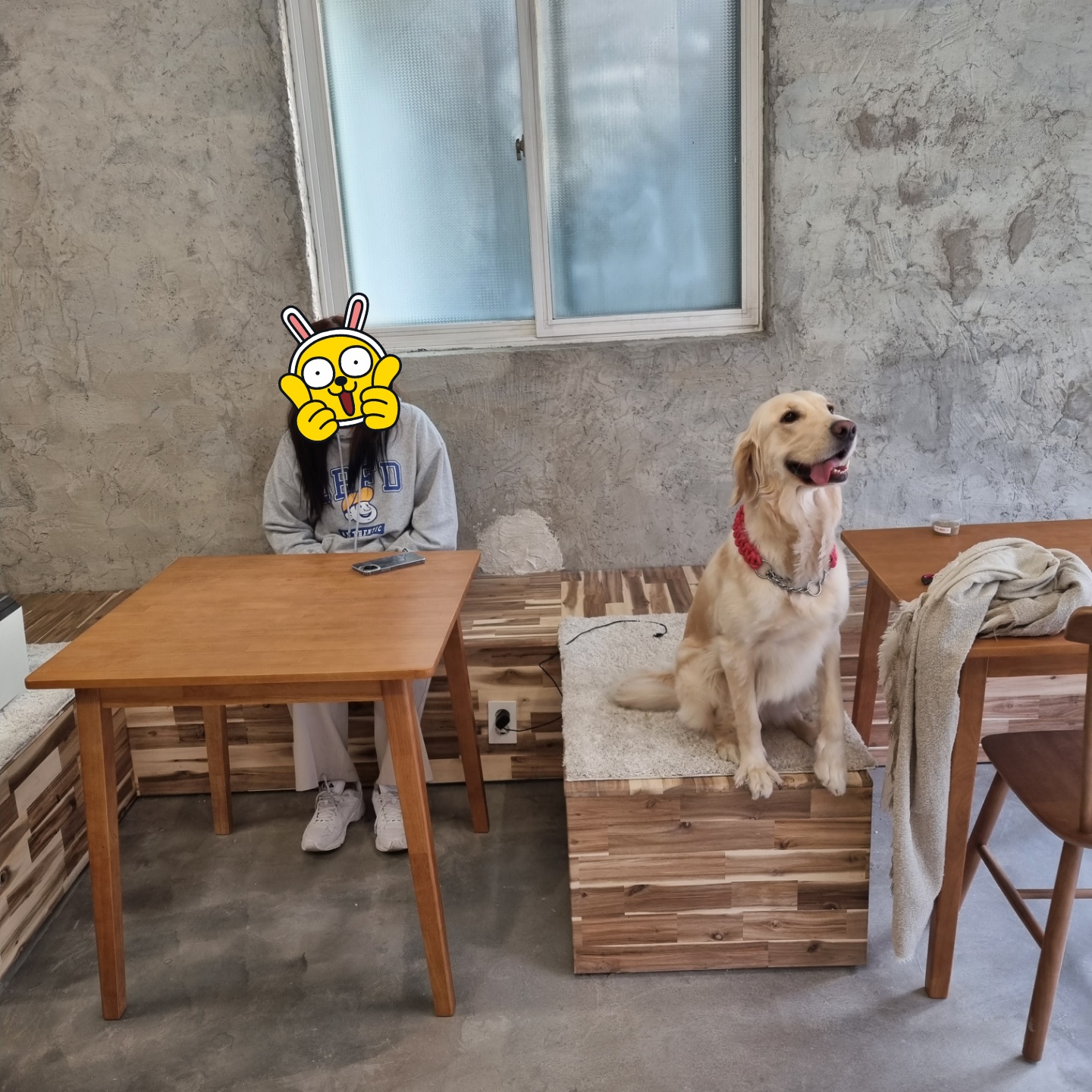 이미지