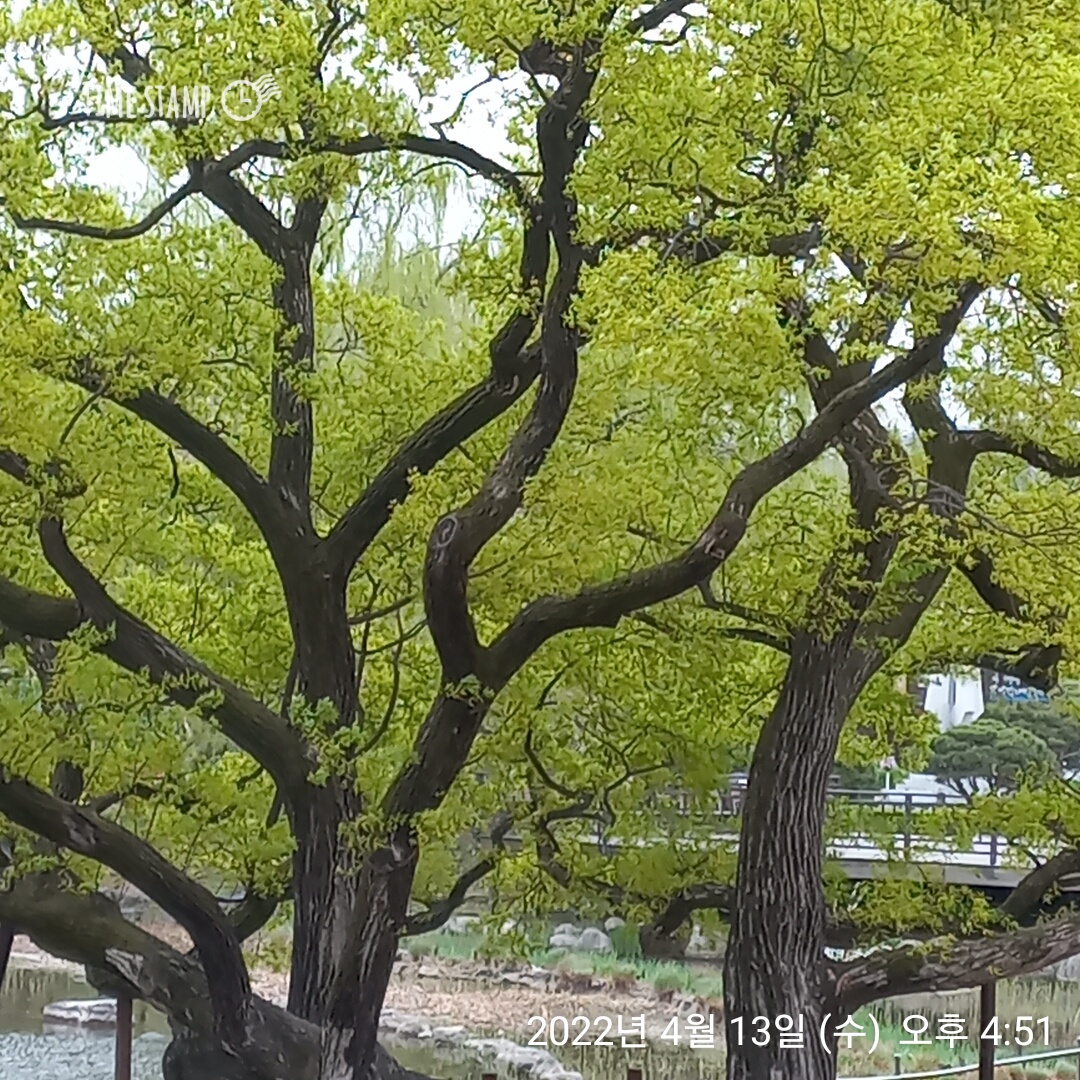 세무사조봉연사무소 대표 이미지