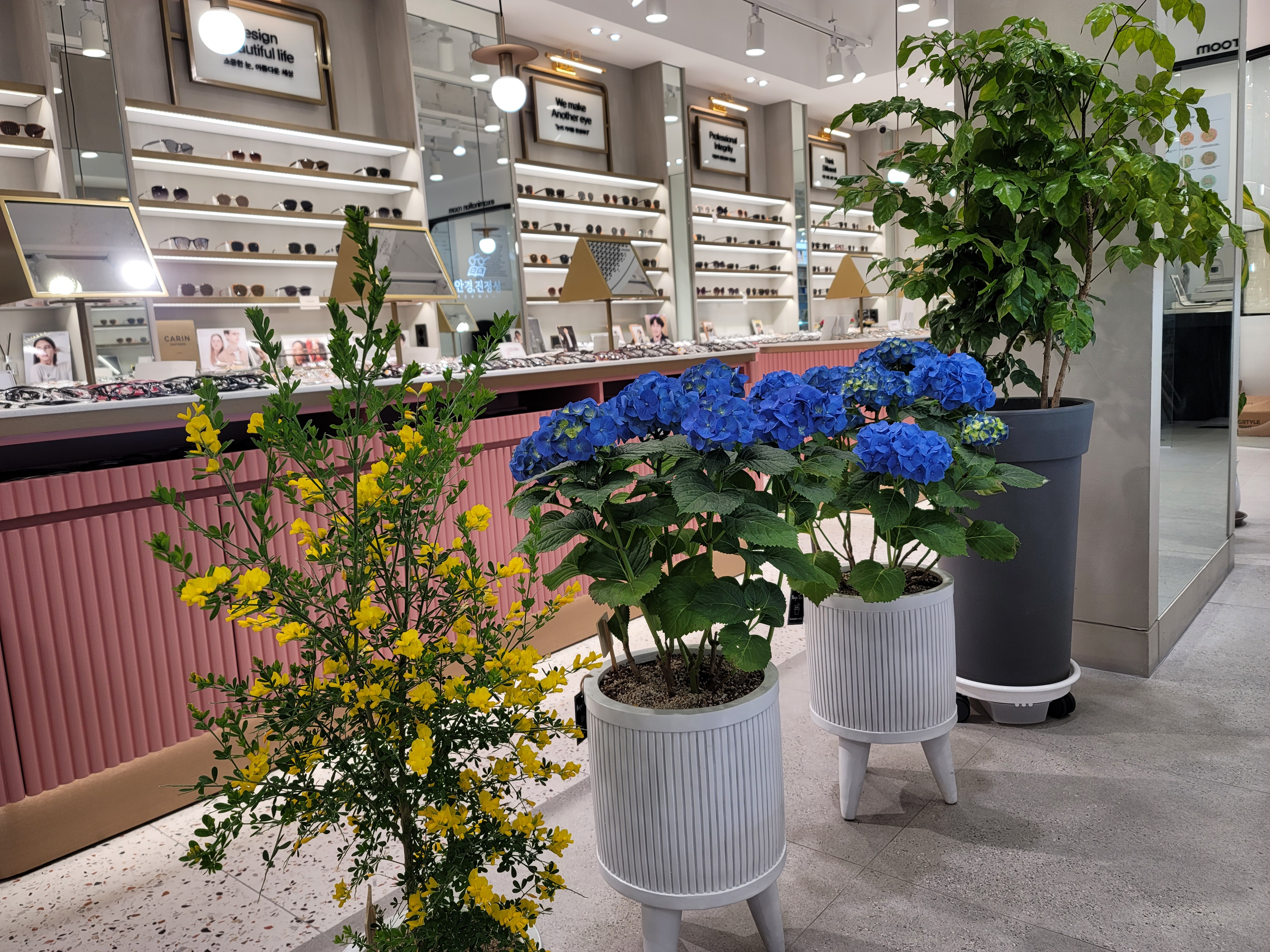 안경진정성 위드렌즈 안산본오점