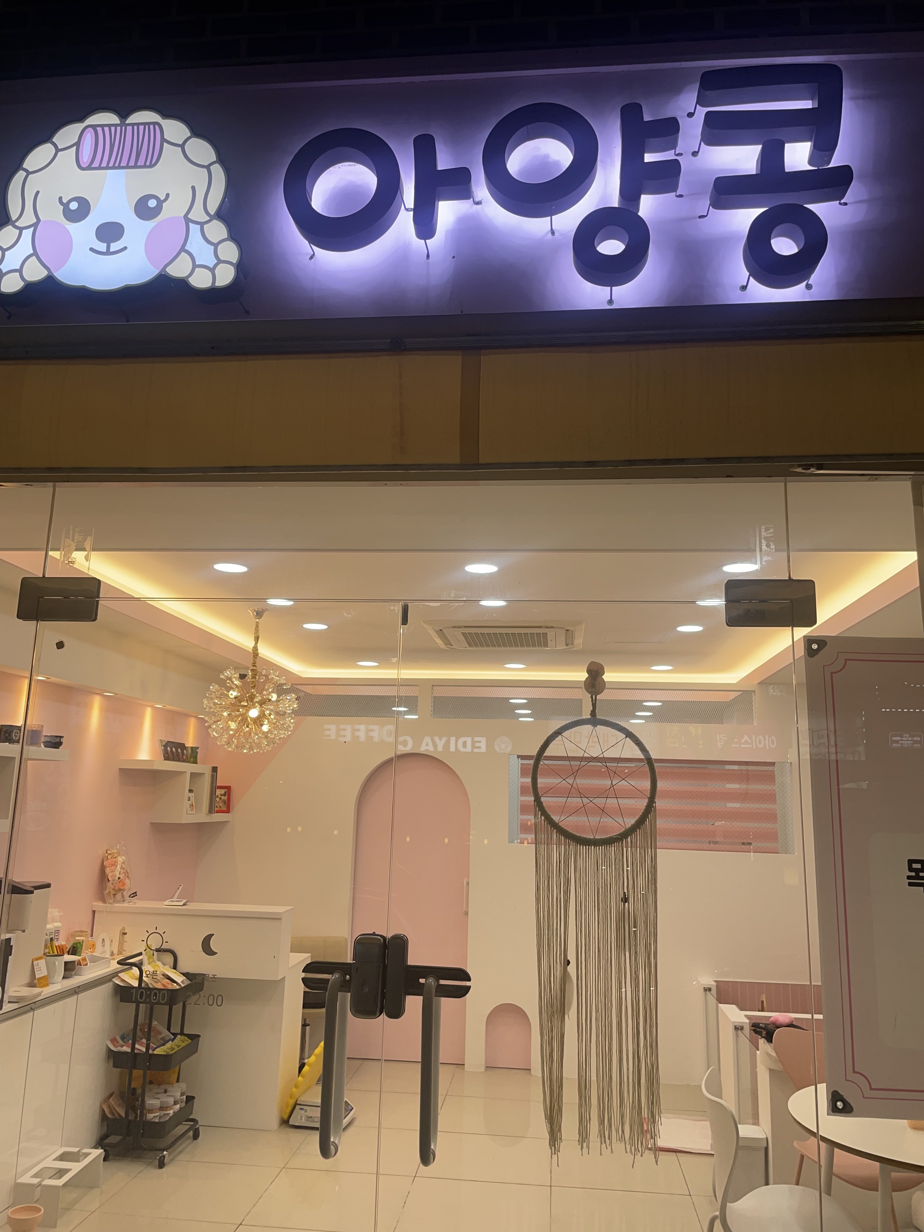 아양콩 대표 이미지