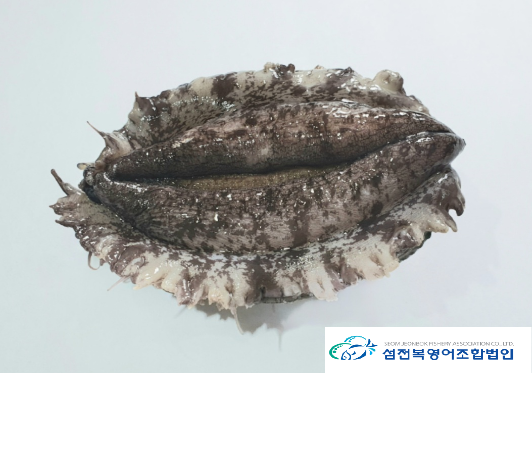 섬전복영어조합법인