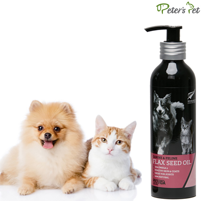 에스앤씨컴퍼니 대표 이미지