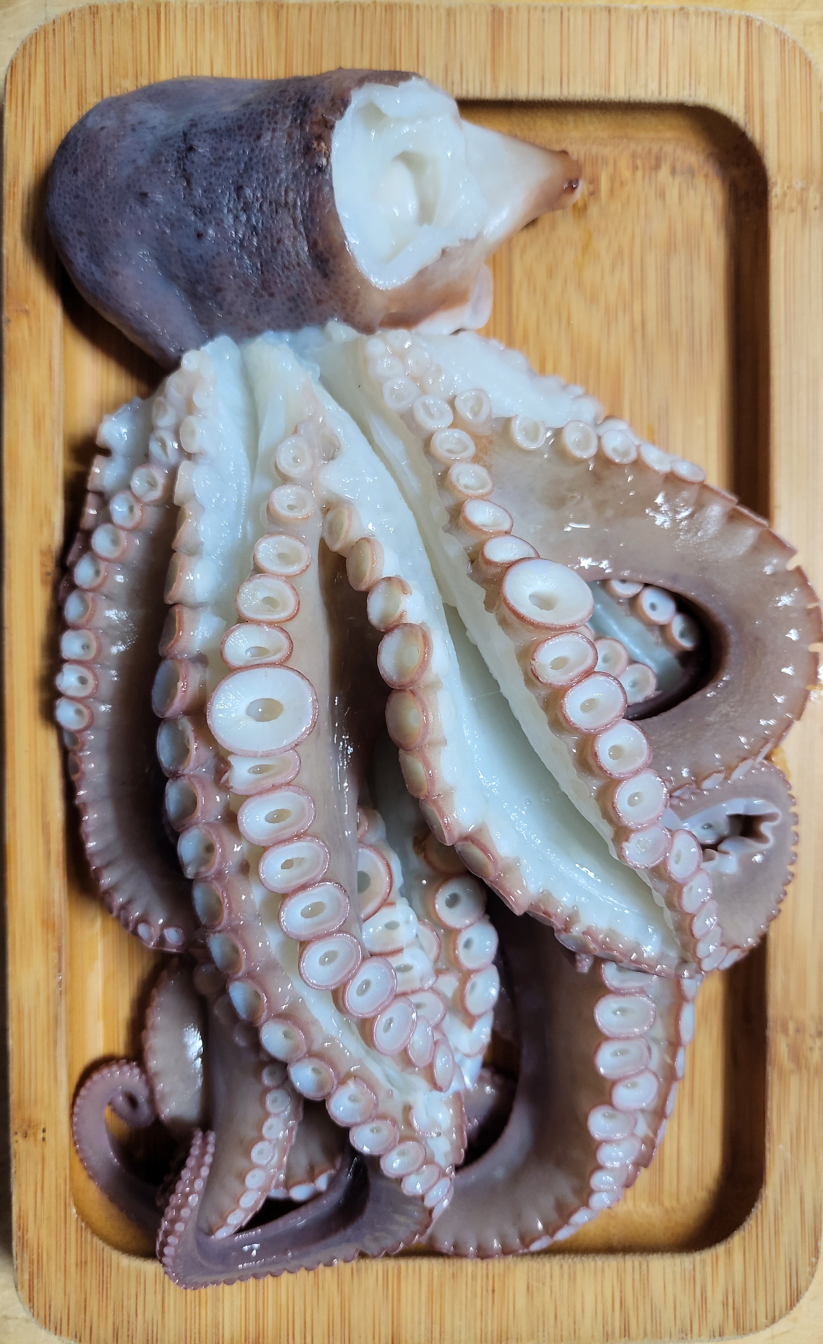 대물풍천민물장어&대게