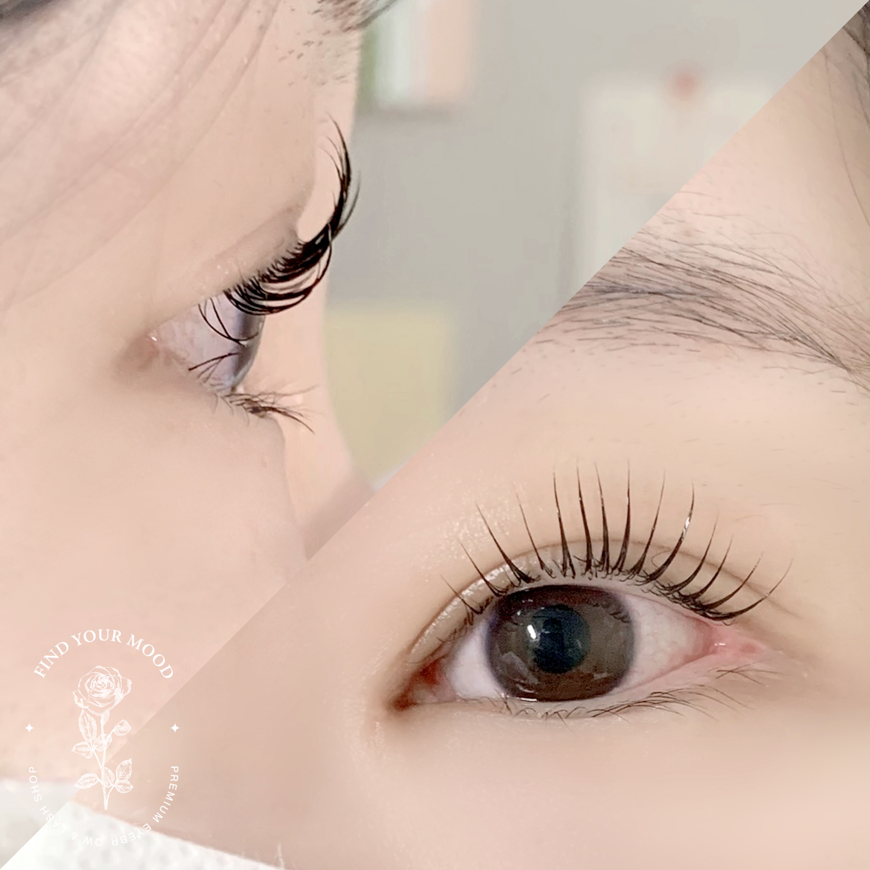 스튜디오 뉴