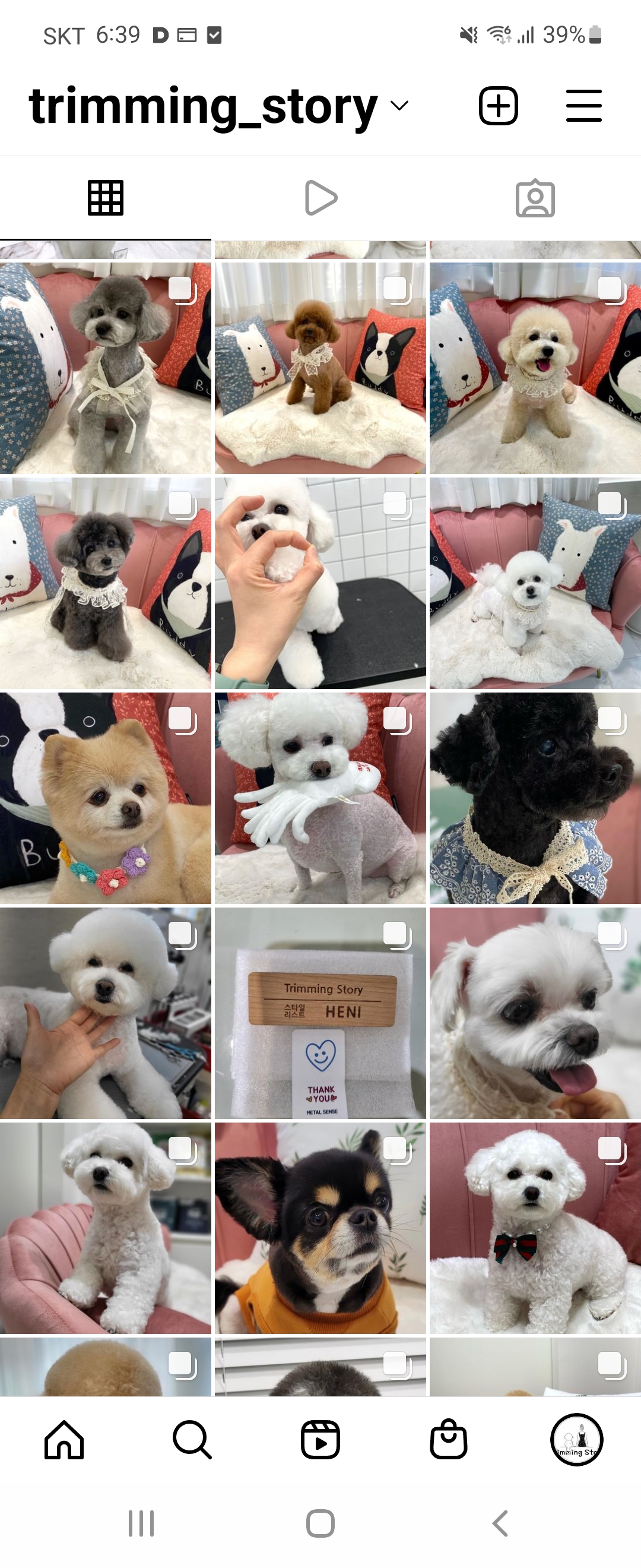 트리밍스토리 대표 이미지
