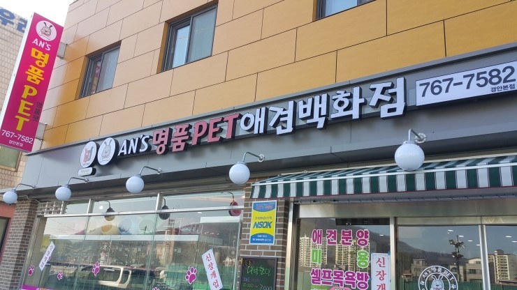 안스독