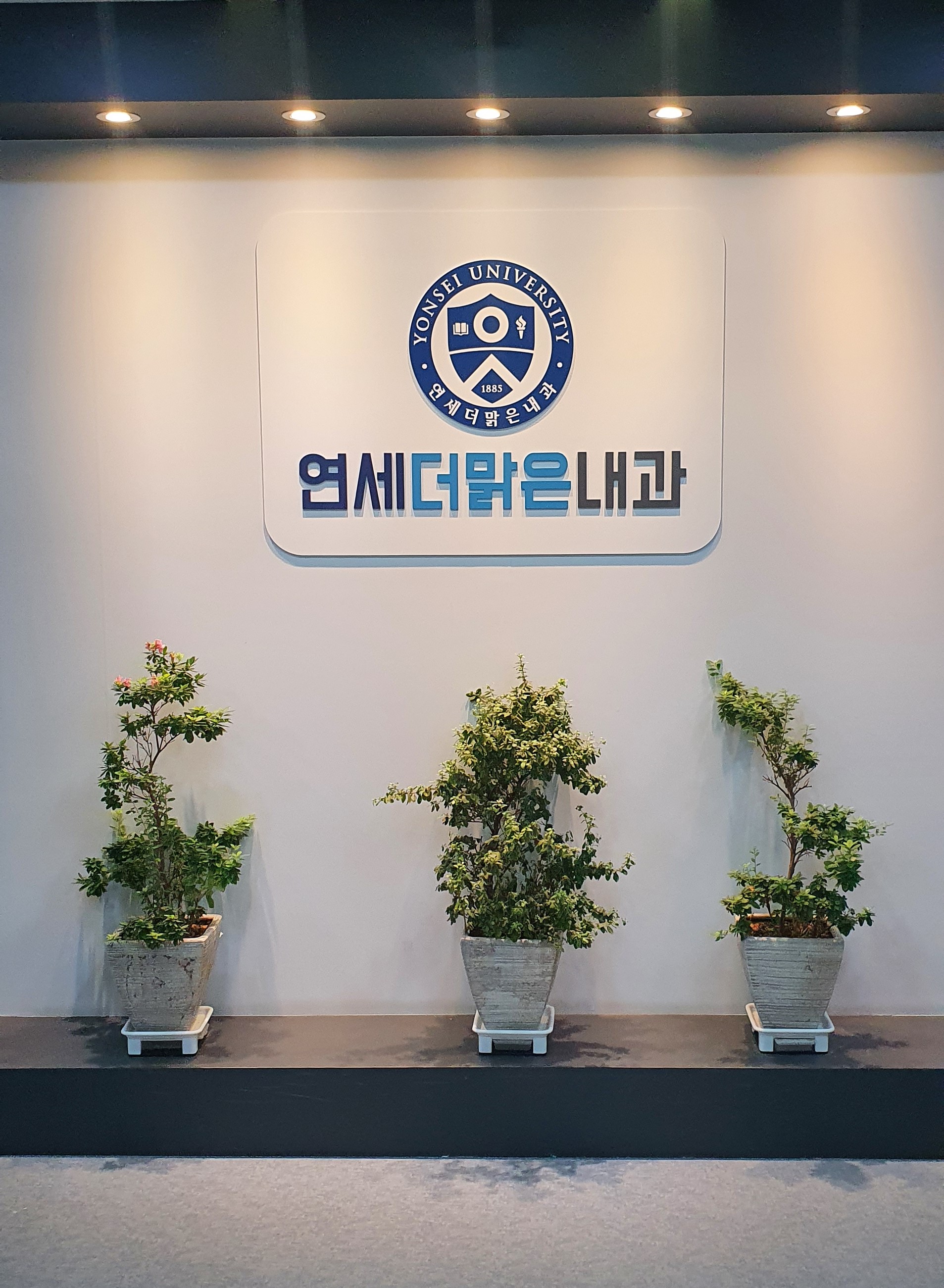 연세더맑은내과의원
