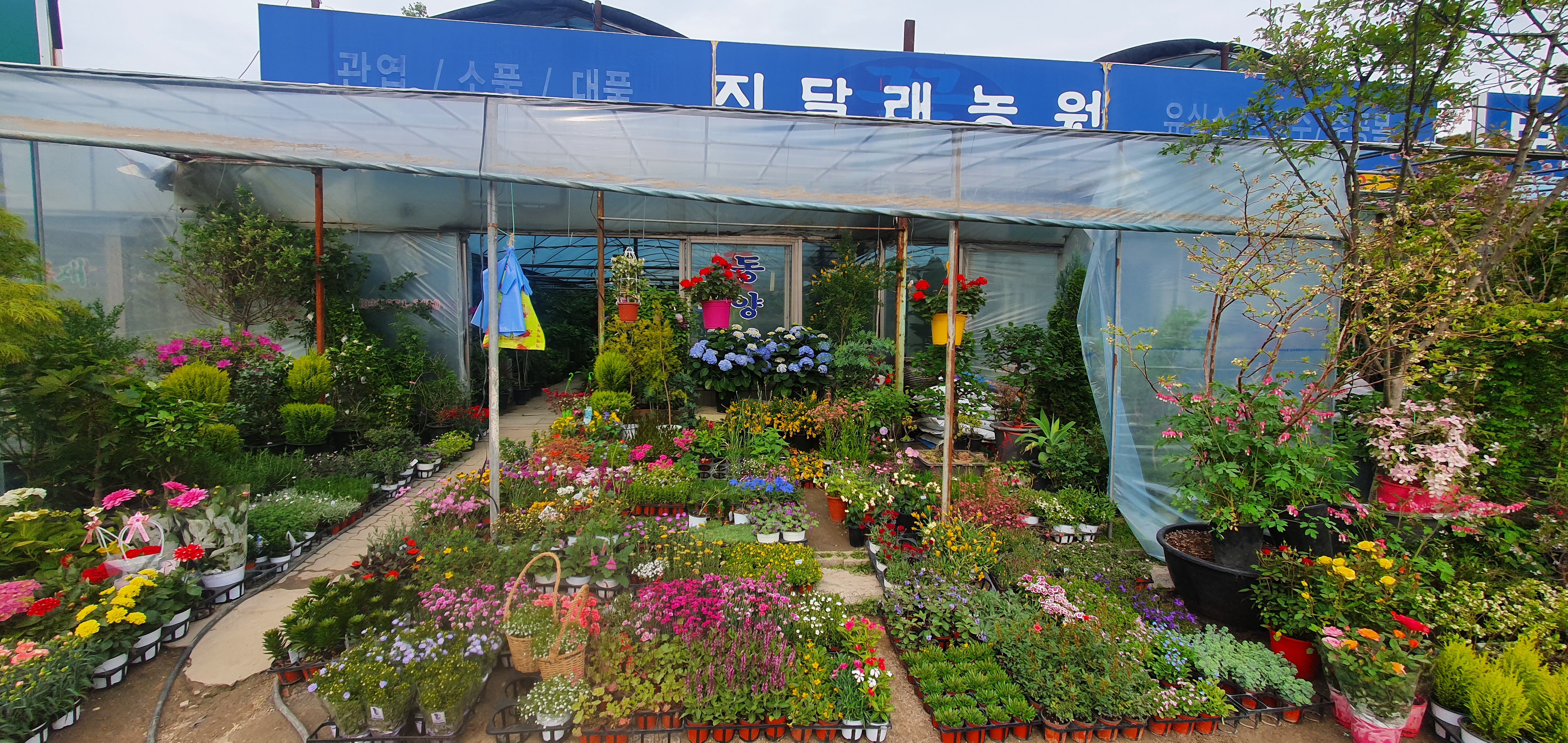 진달래꽃화원