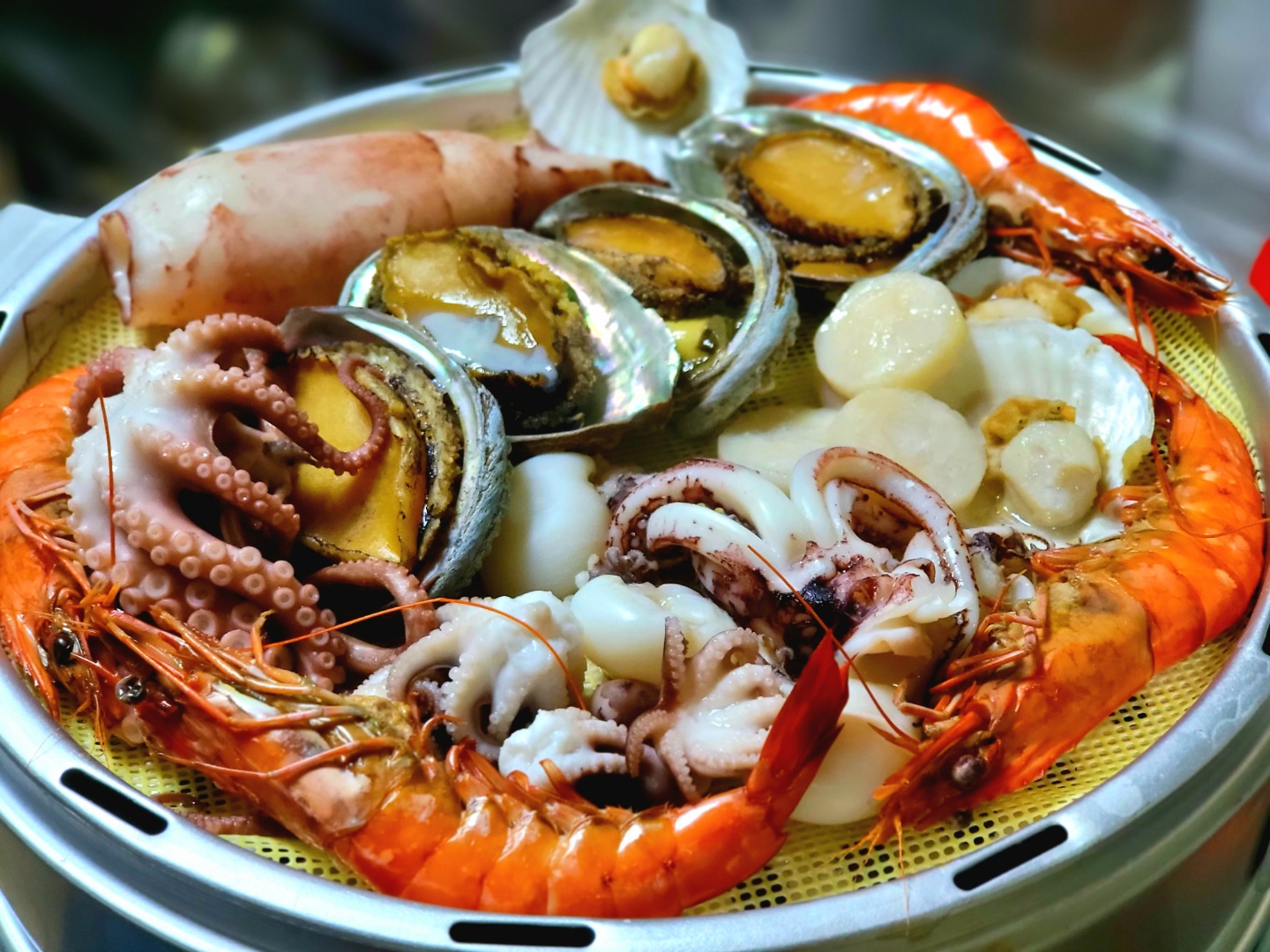 닭사부일체 5