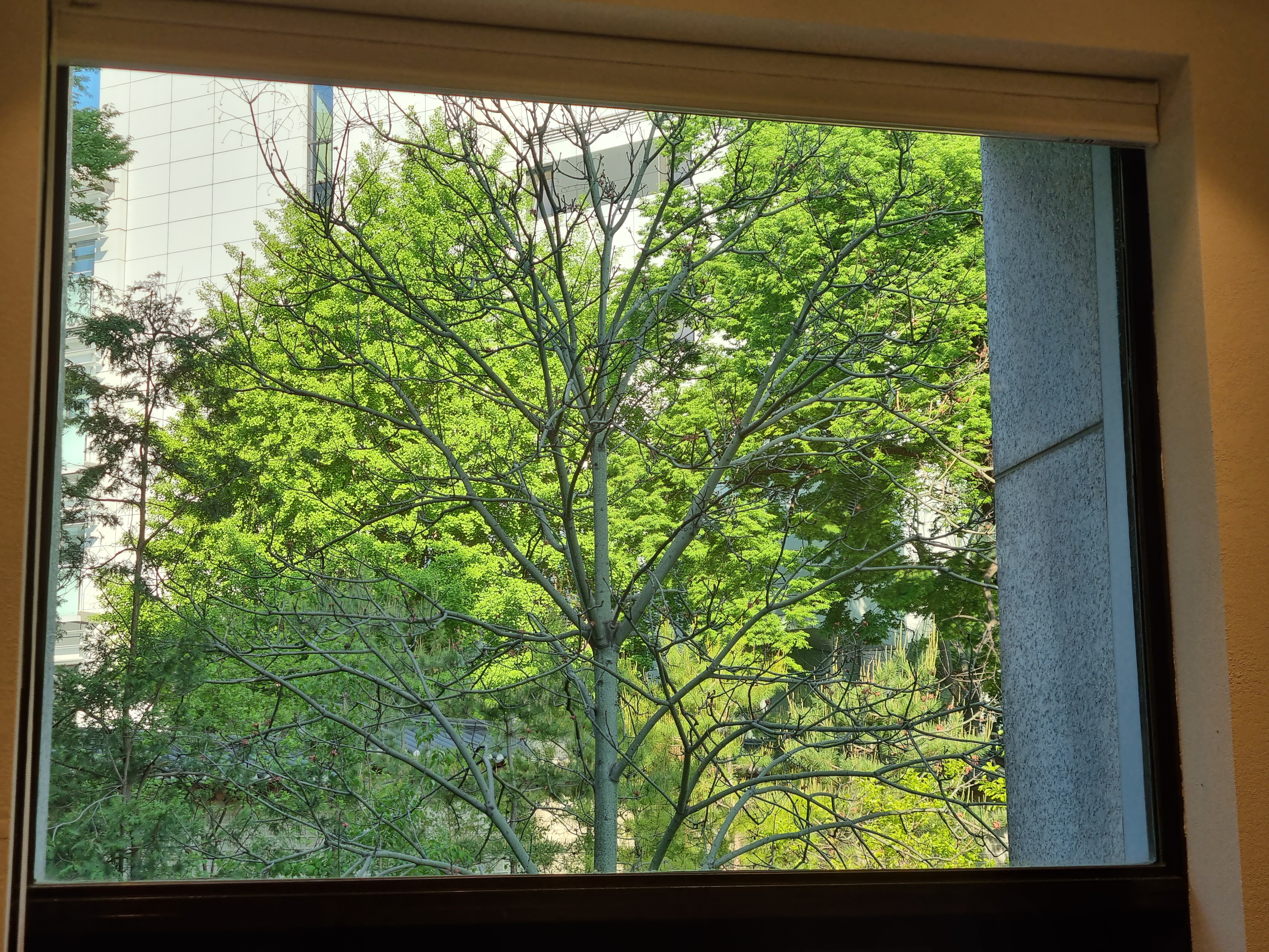 서울귀한이비인후과의원 대표 이미지