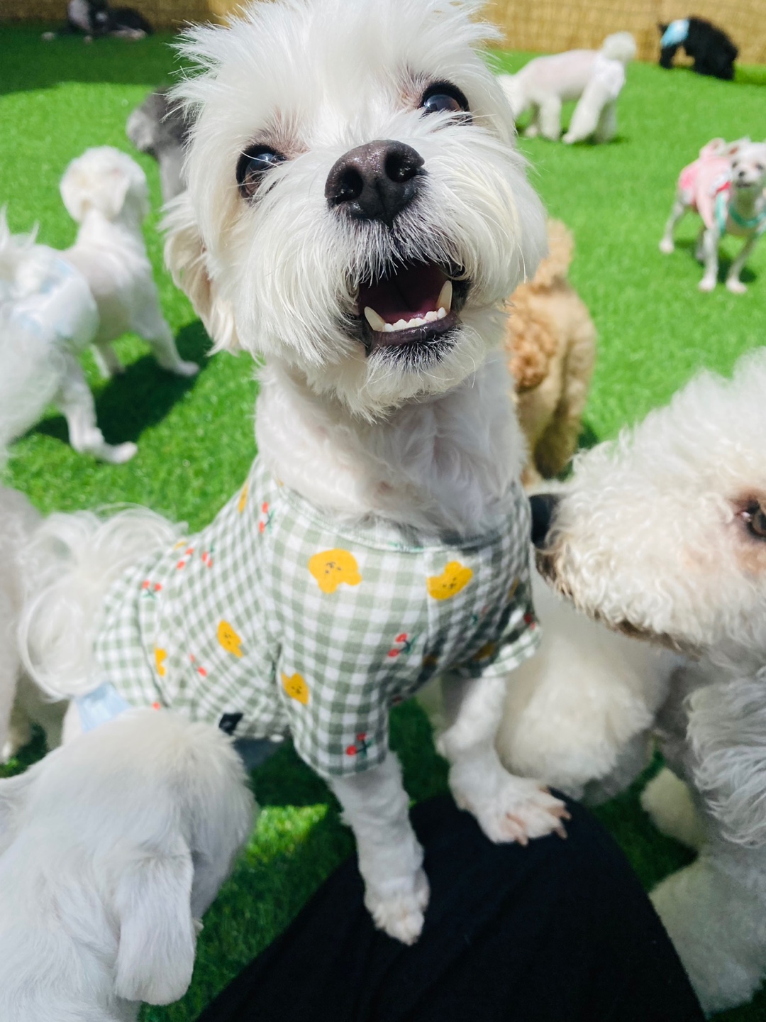 하이댕 대표 이미지