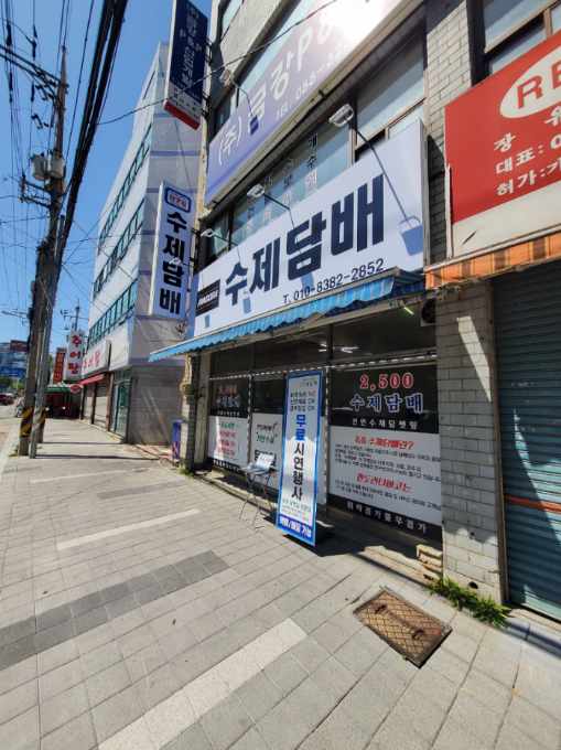 판도라타바코