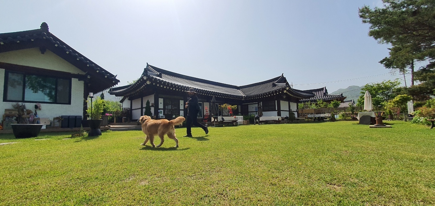 영암연희한옥펜션 반려동물 동반 애견카페
