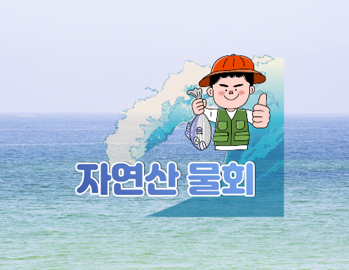 막썰어횟집