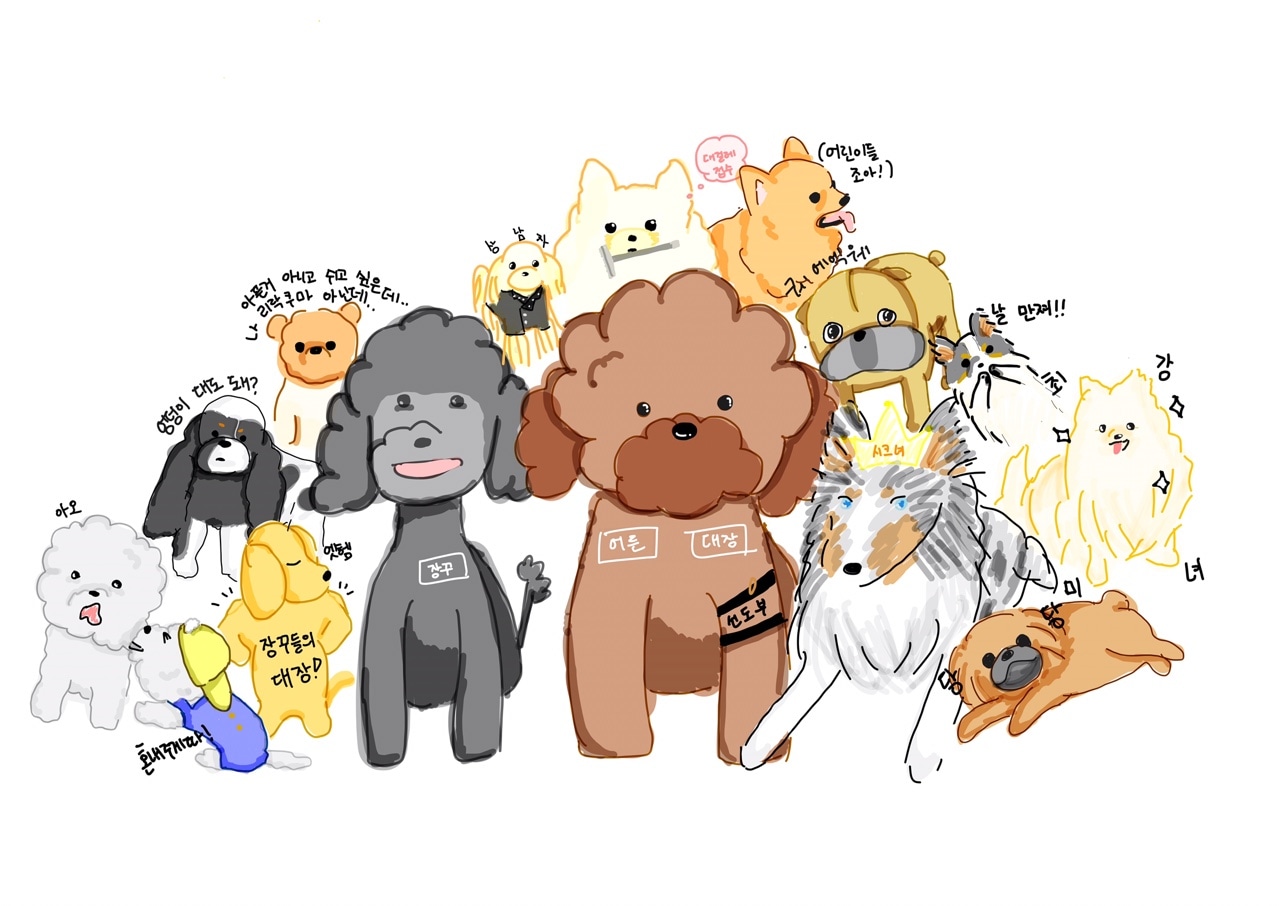 사진 4