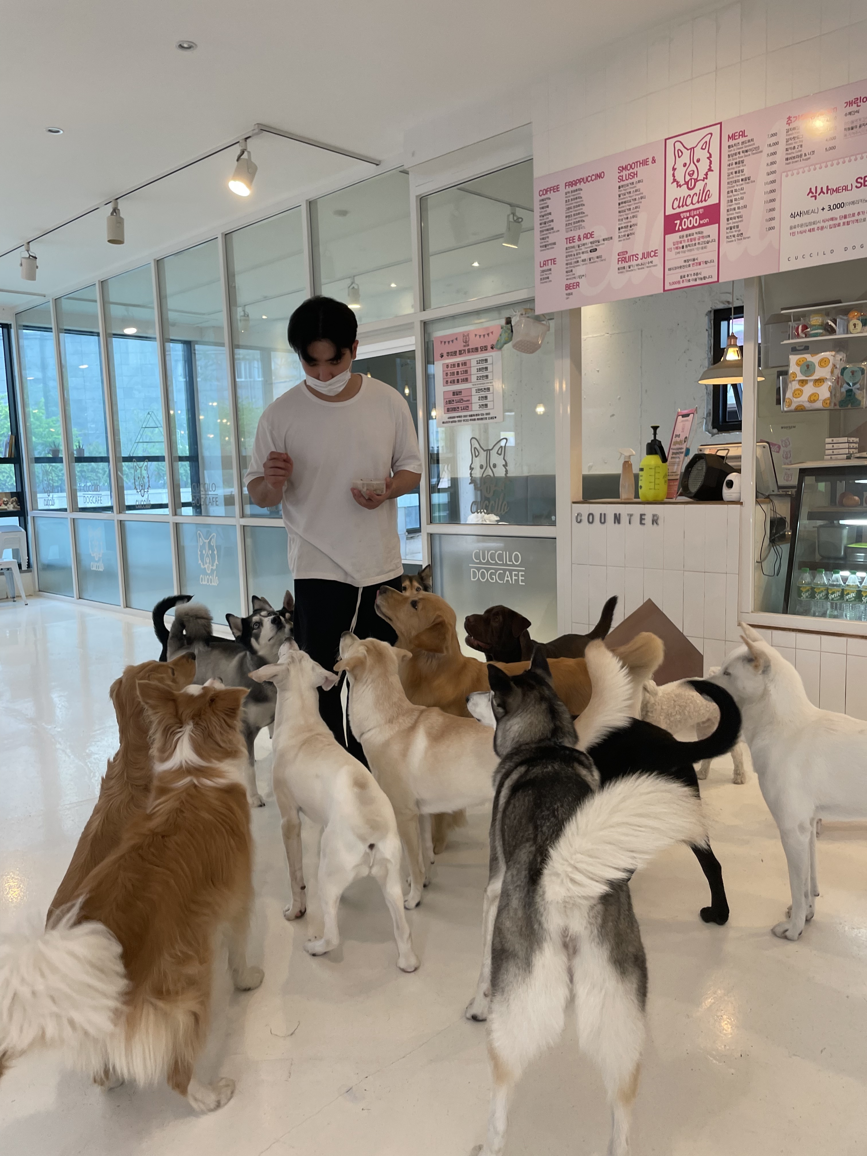 쿠치로 대표 이미지