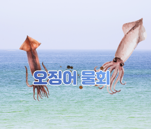 막썰어횟집